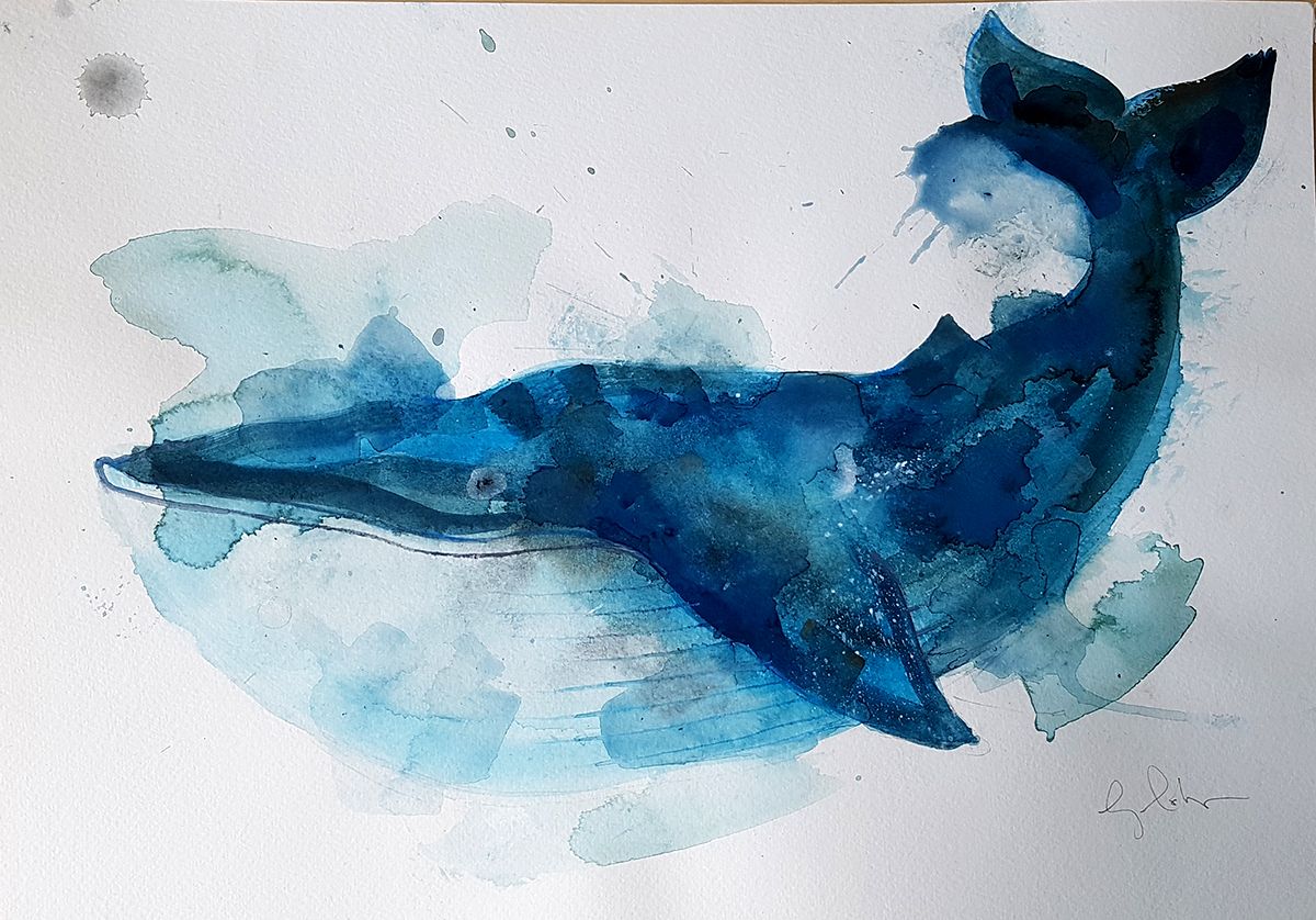 Blue Whale by Gavin Dobson