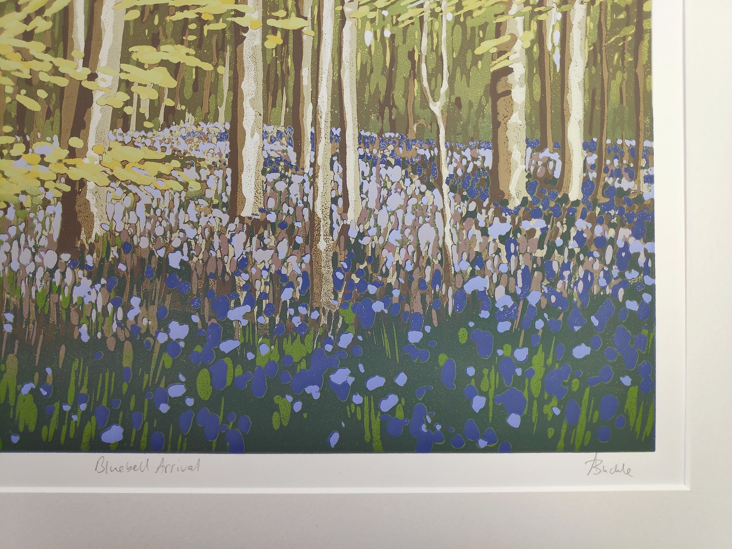 Original Artwork - Bluebell – Lochs & Fens