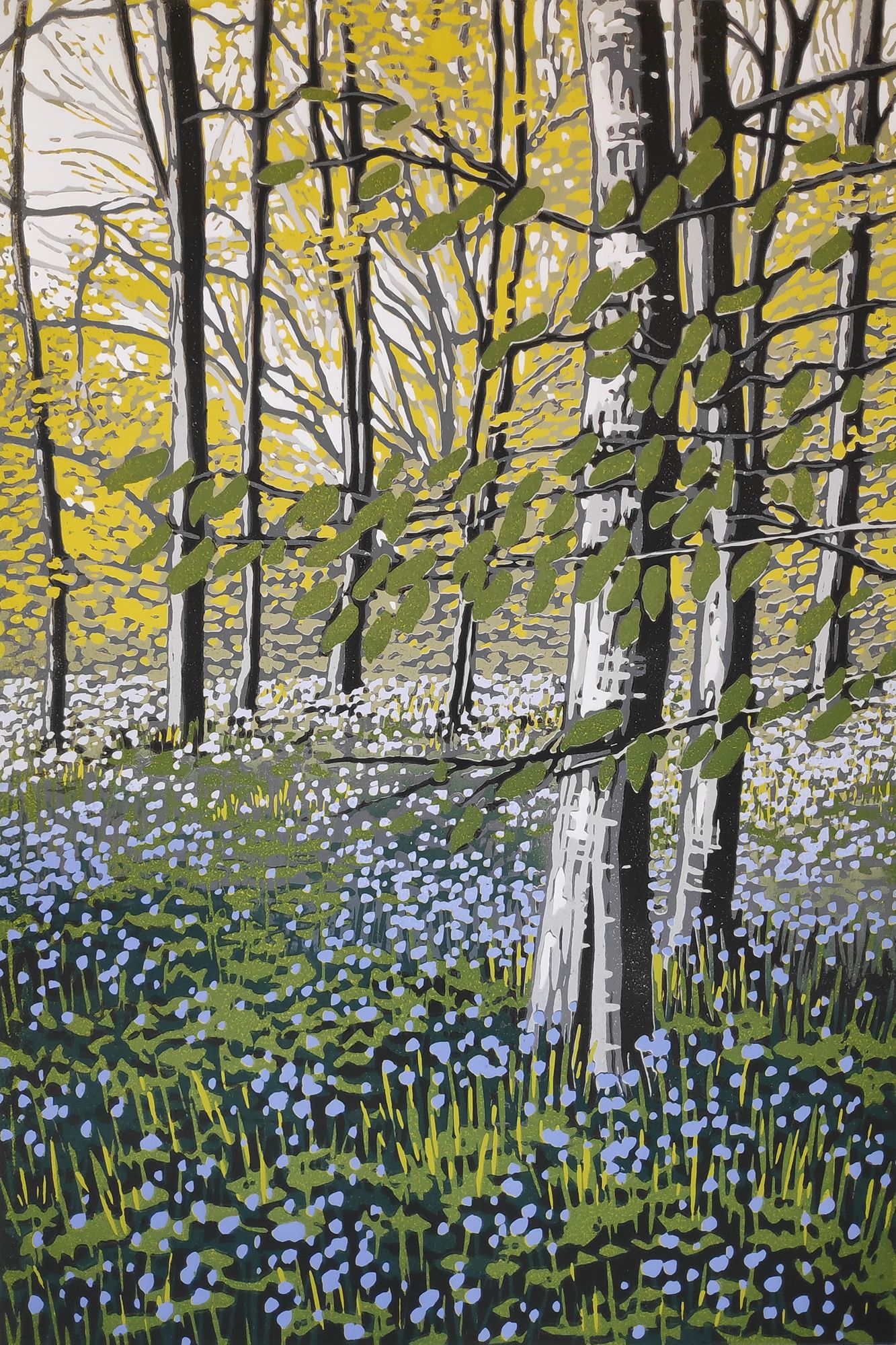 Bluebell Solitude by Alexandra Buckle