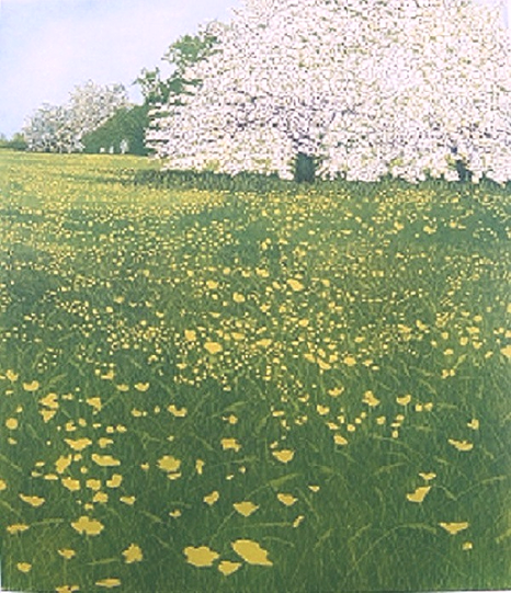 May by Phil Greenwood