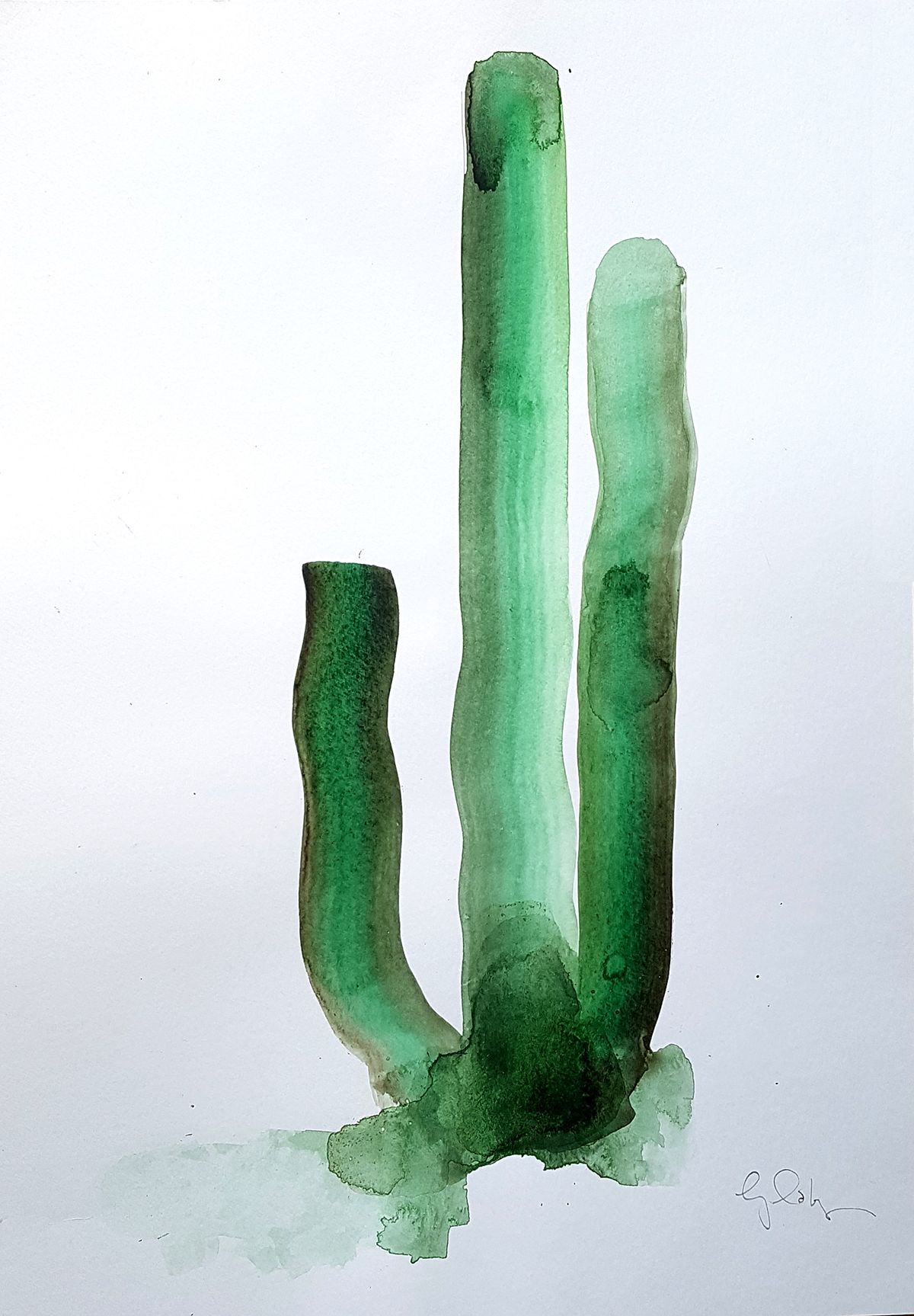 Cactus by Gavin Dobson