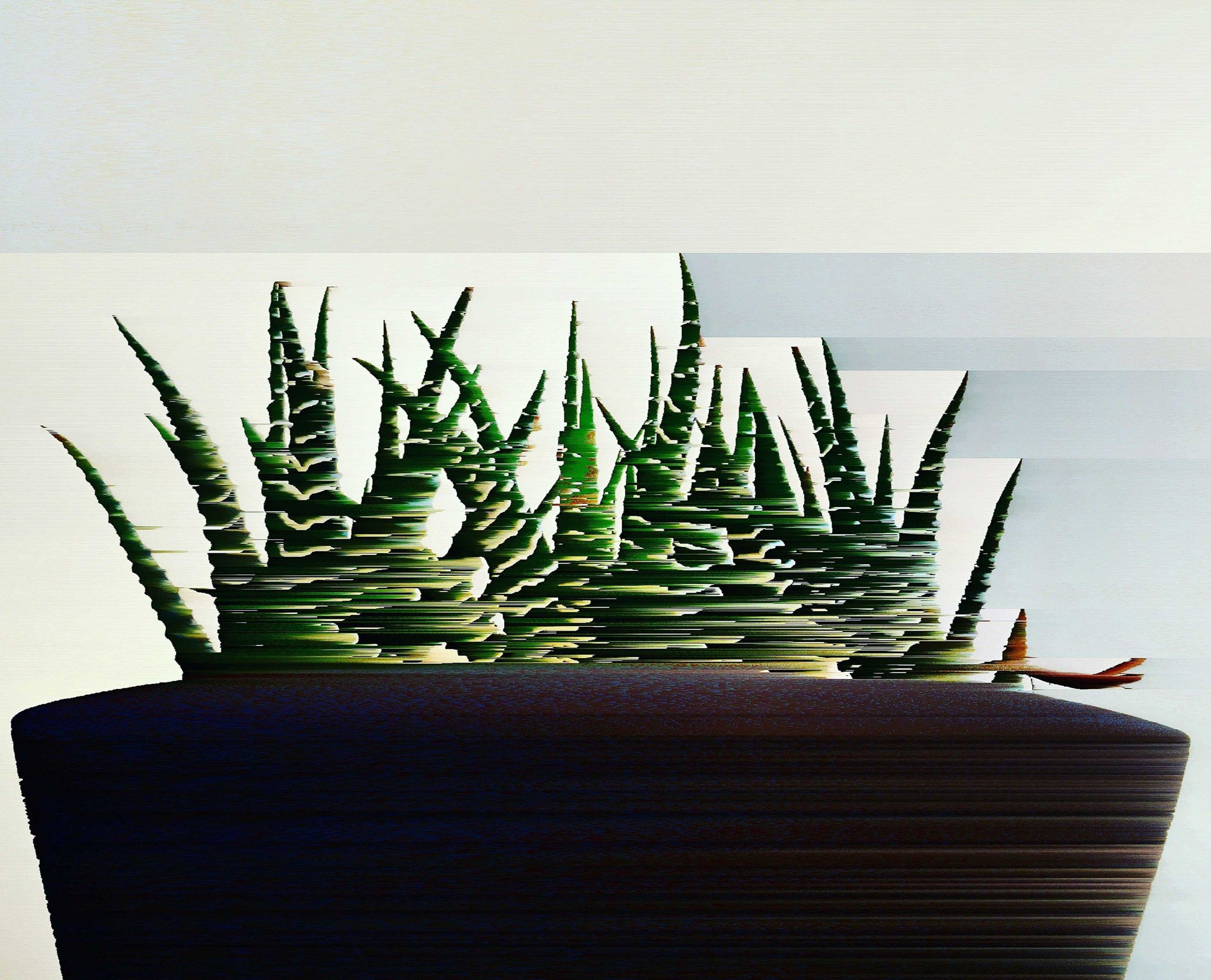 Cactus by Katie Hallam