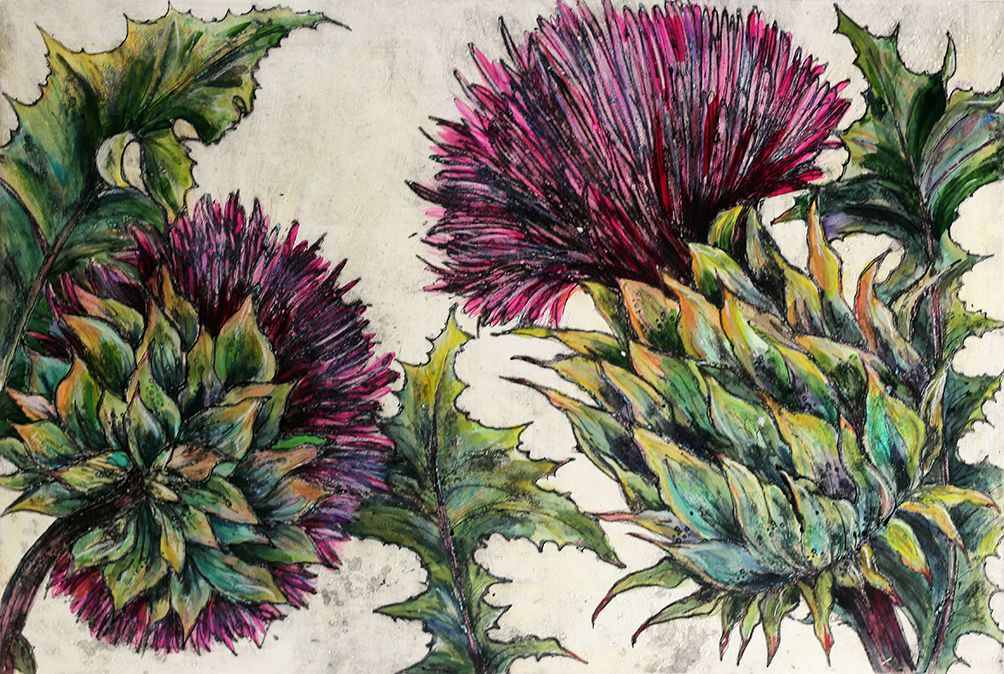 Cardoon by Vicky Oldfield