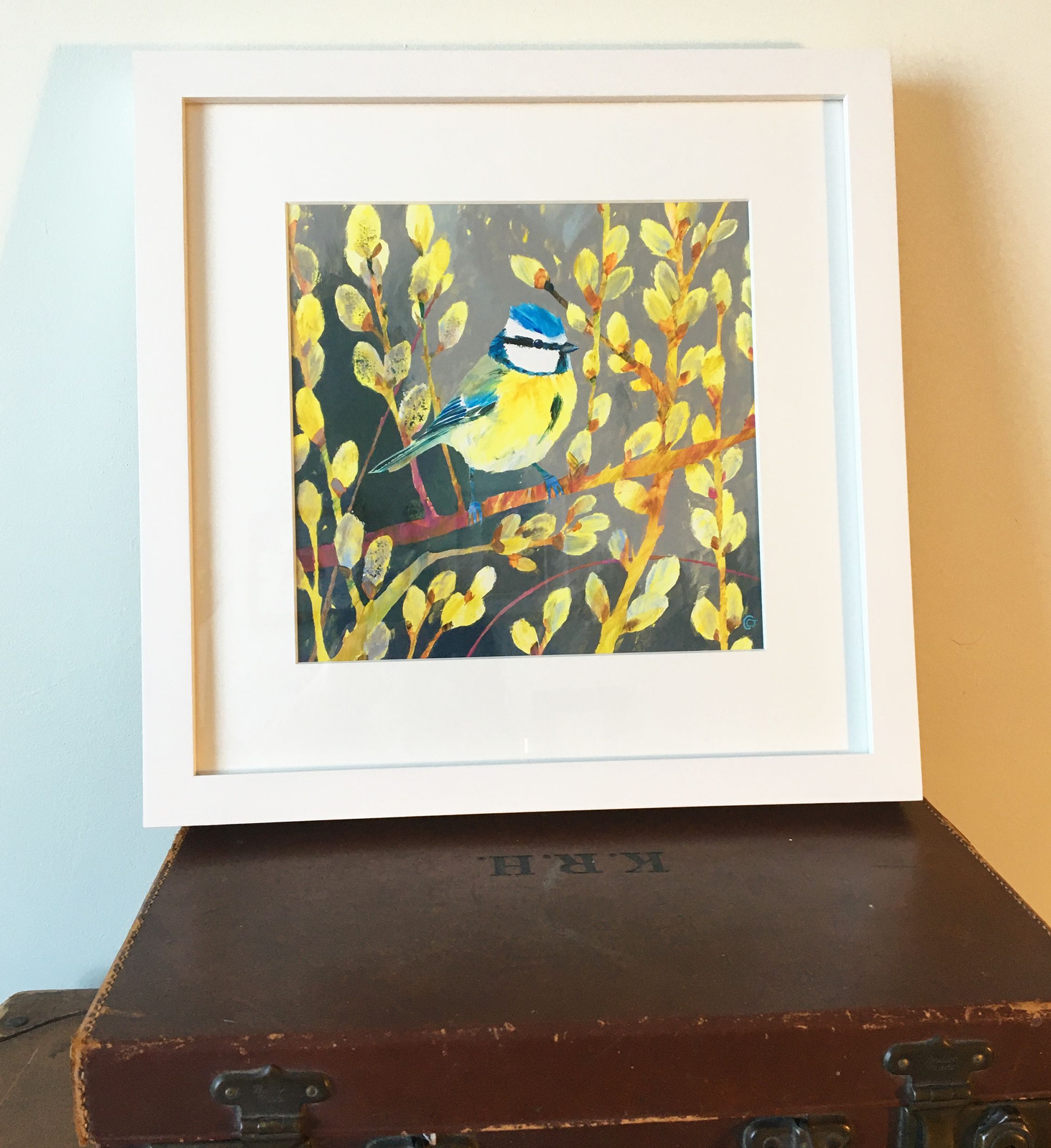 Blue Tit by carolyn carter - Secondary Image
