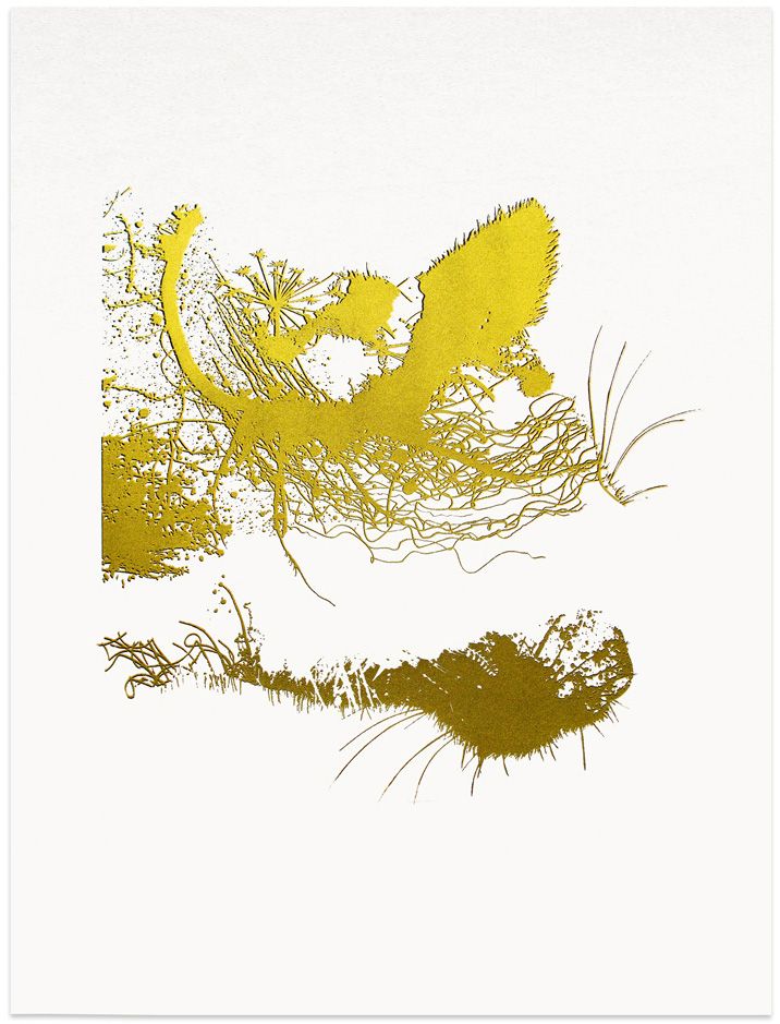 Golden Cat Three by Chris Keegan