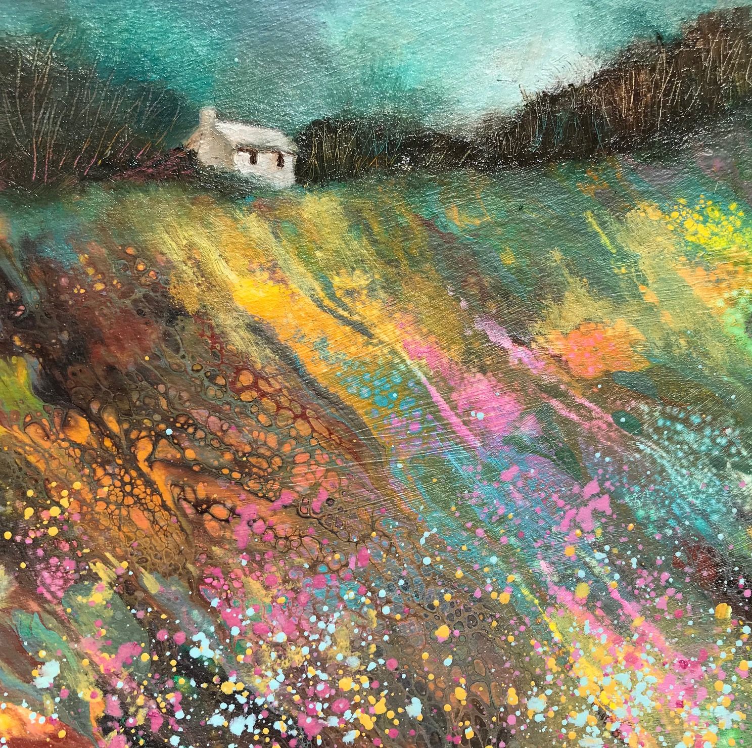 House in the Fields by Cathryn Jeff