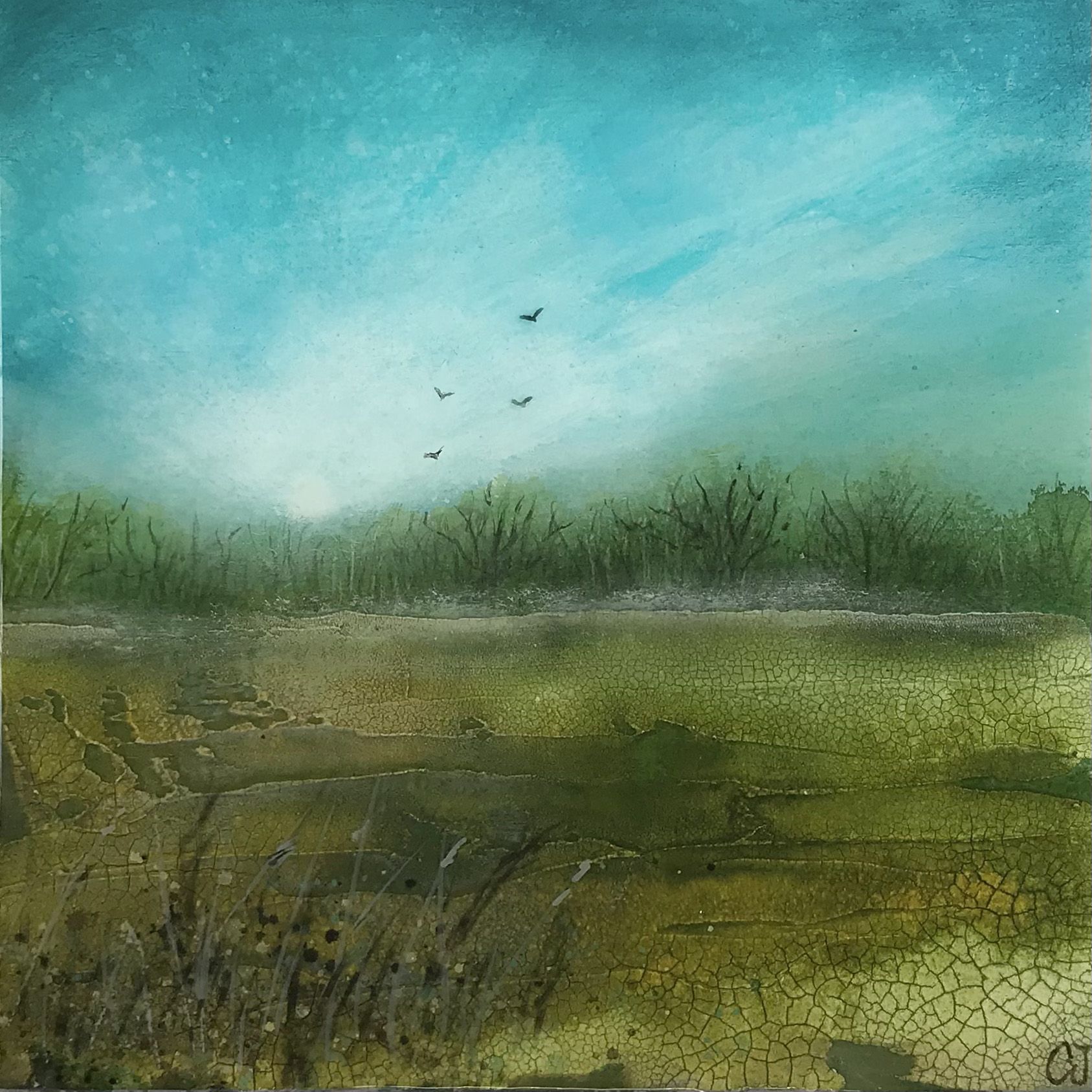 Misty Meadow by Cathryn Jeff