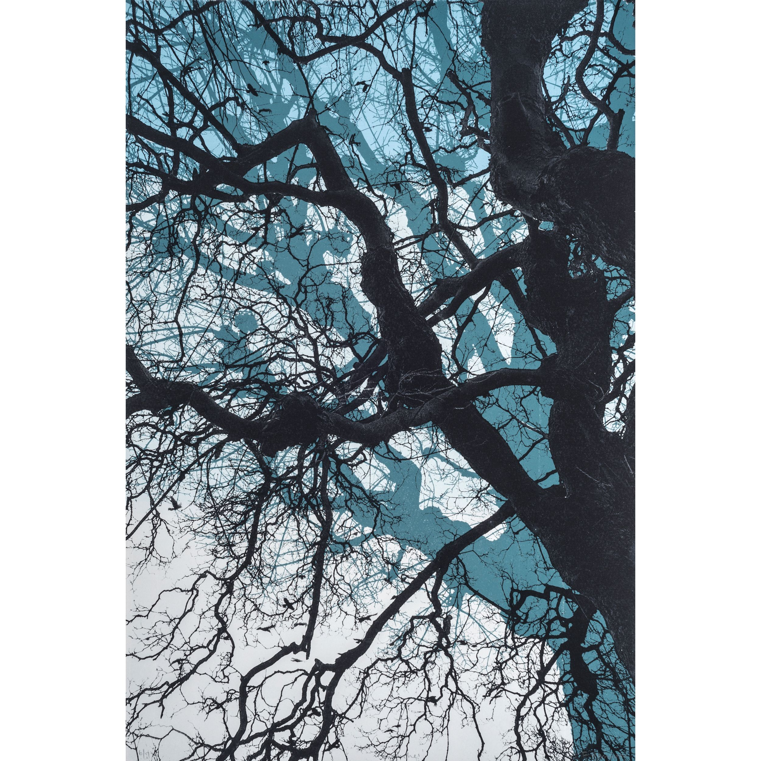 Branches Blue by Fiona Hamilton