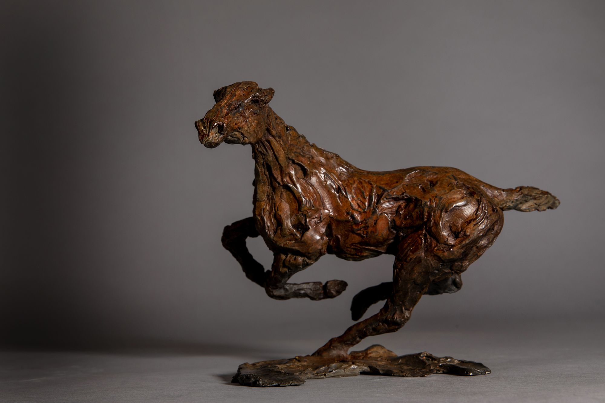 Changing Direction. Galloping Horse. by Jane Shaw - Secondary Image