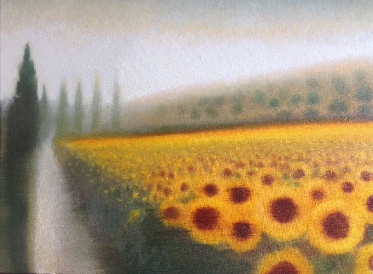 Sunflowers by Charlie Baird