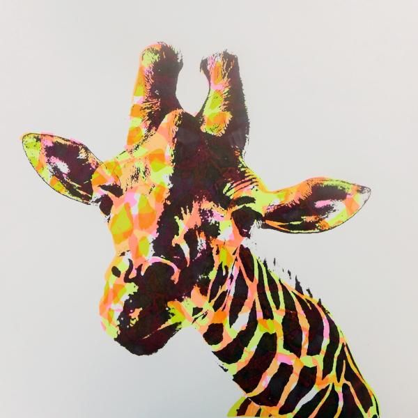 Giraffe Love by Charlotte Gerrard