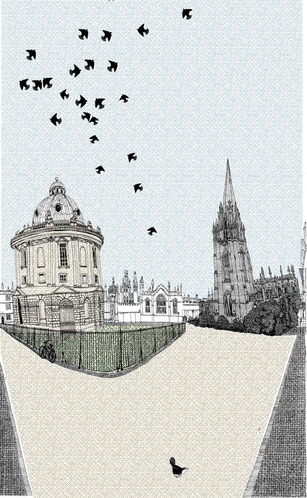 Nesting in Radcliffe Square by Clare Halifax
