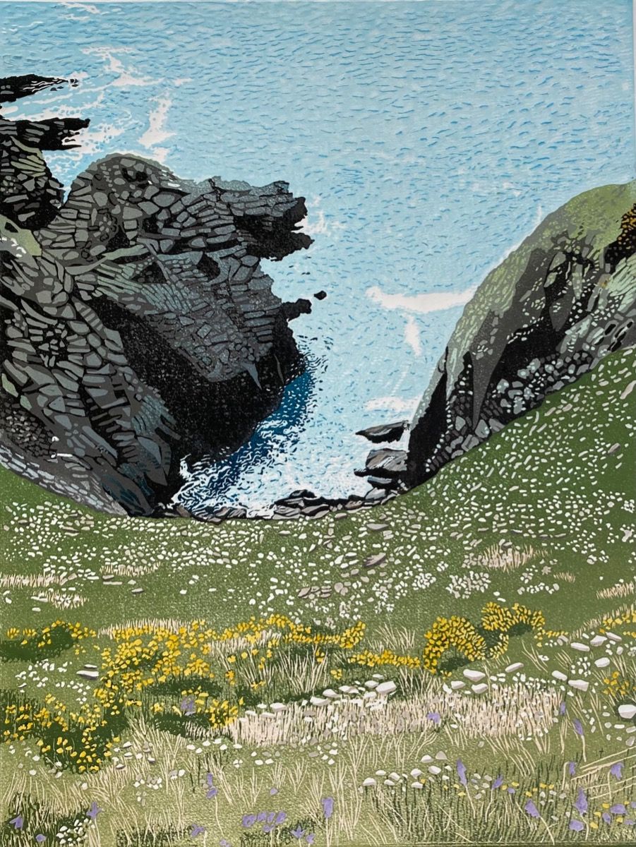 Cliff Edge by Ann Burnham