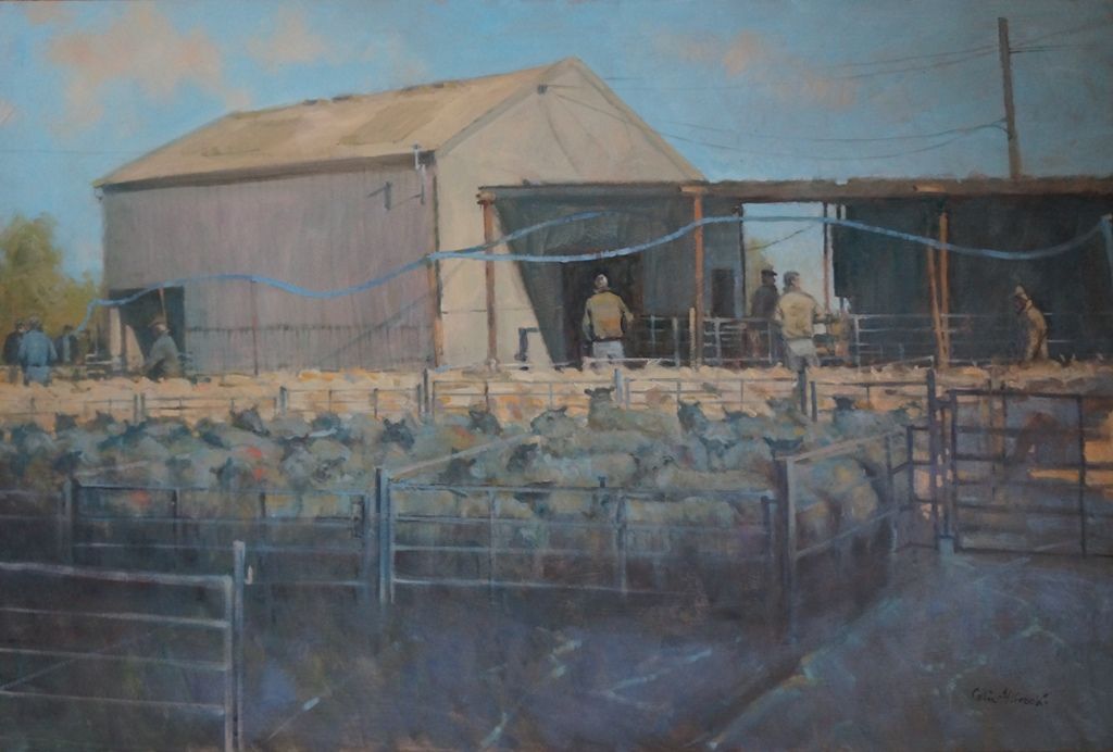 Morning Sheep Market by Colin Allbrook
