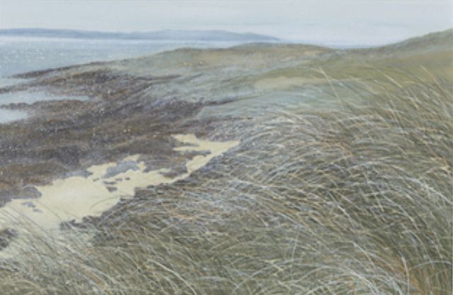 Coll grasses by Judith Yarrow