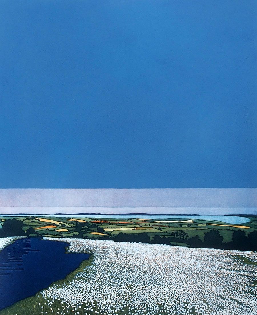 Cotton Blue by Phil Greenwood