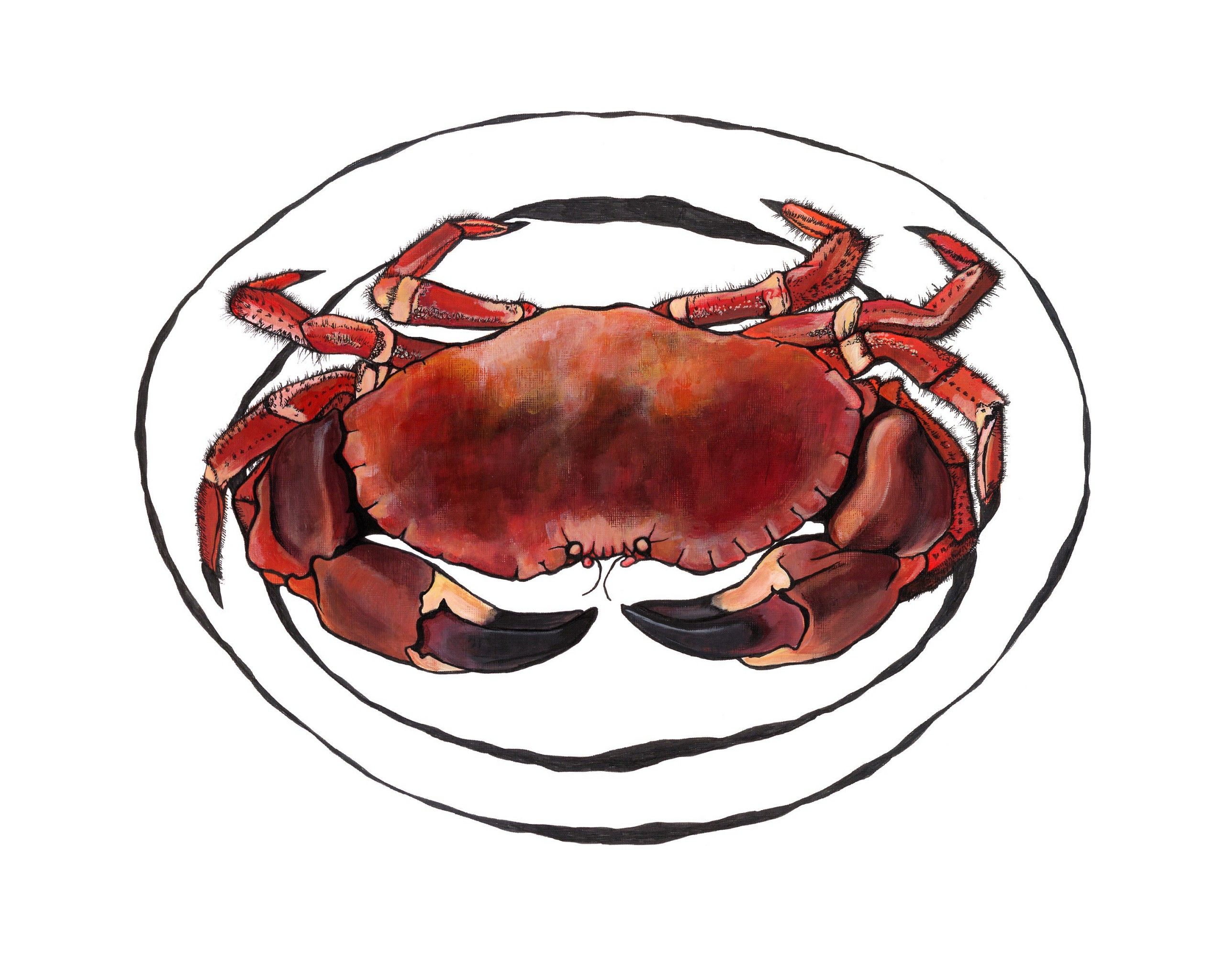 Crab by Lucy Routh