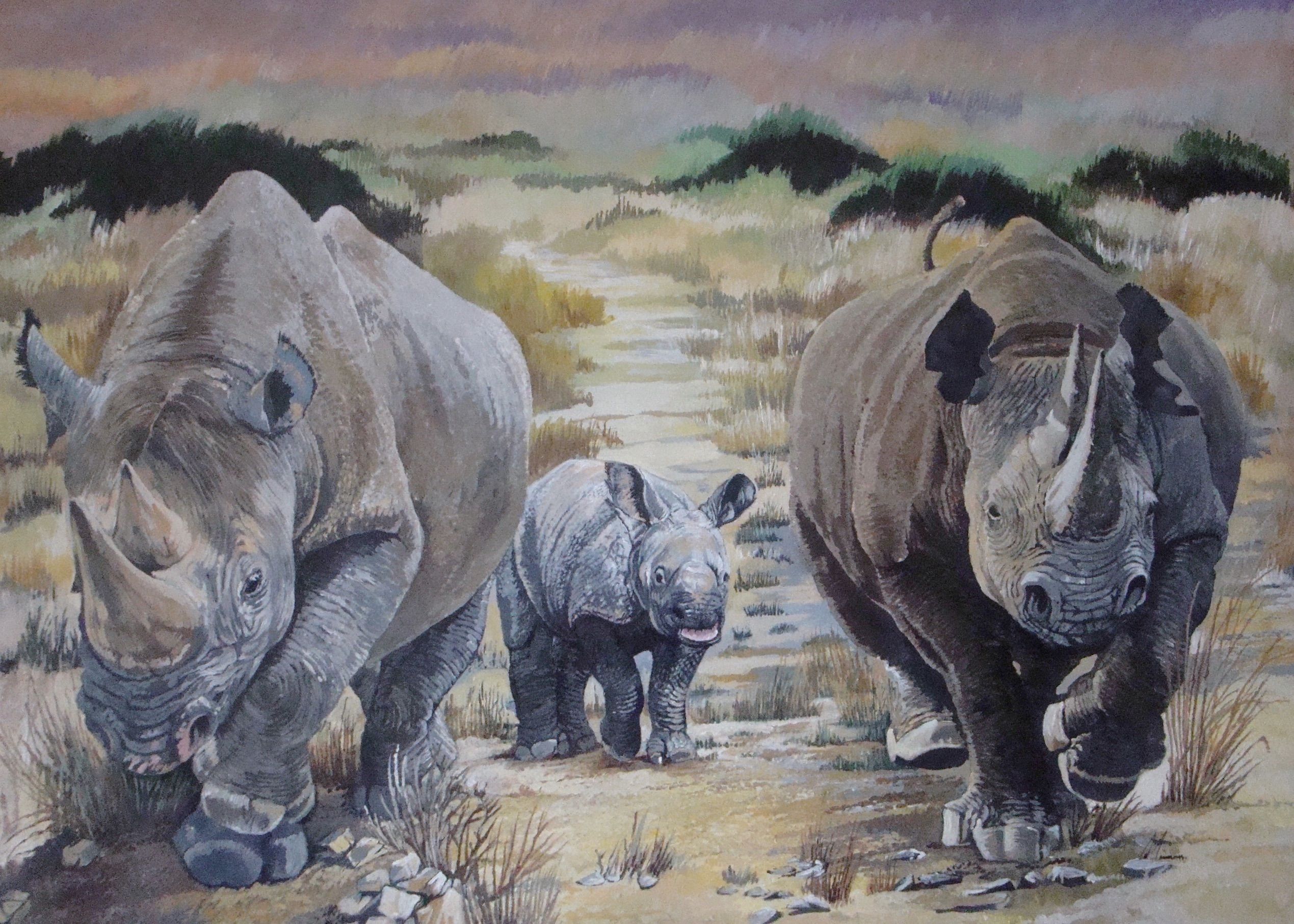 Crash of Rhino's by David Truman