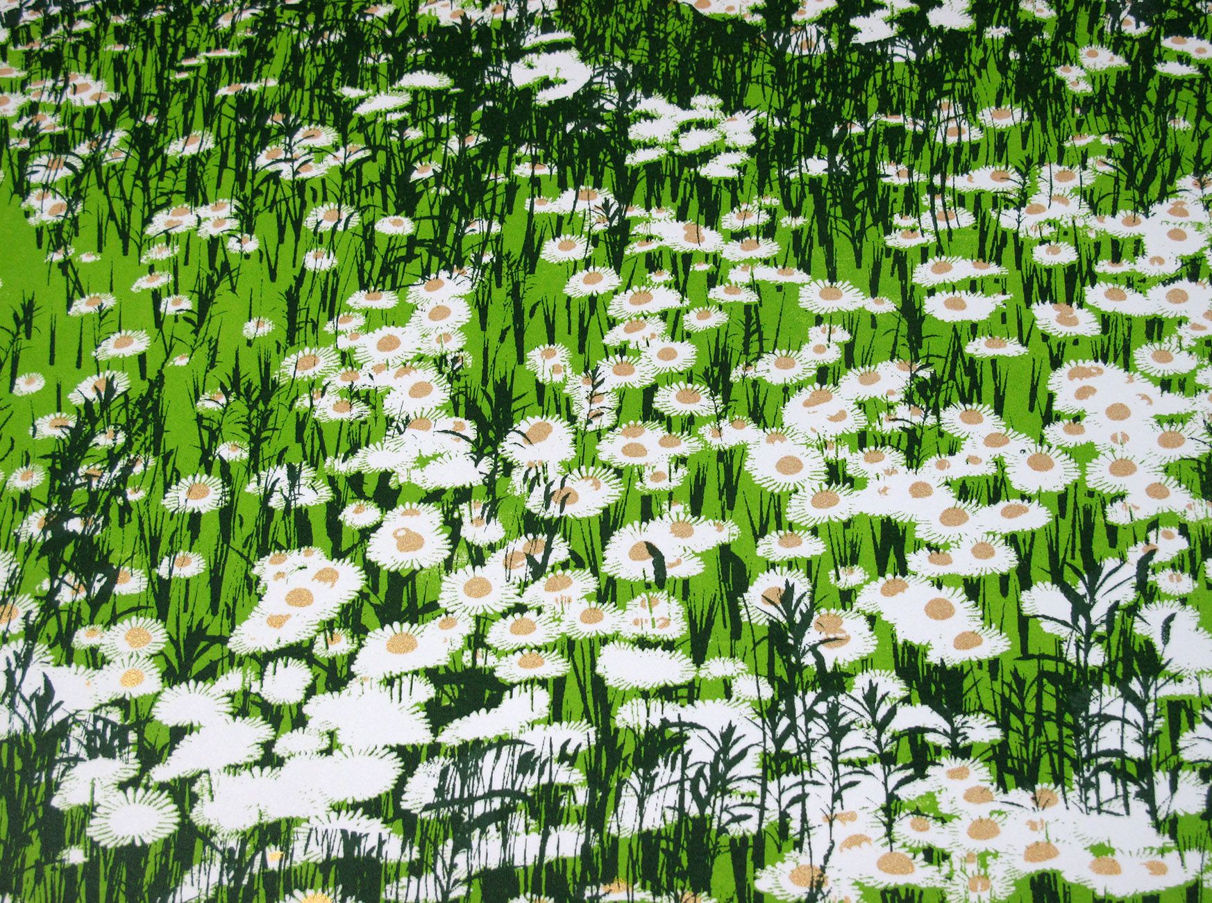 Daisy Field by Chris Keegan - Secondary Image