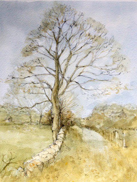 Winter Tree in Early Springtime, Notgrove by Elizabeth Chalmers