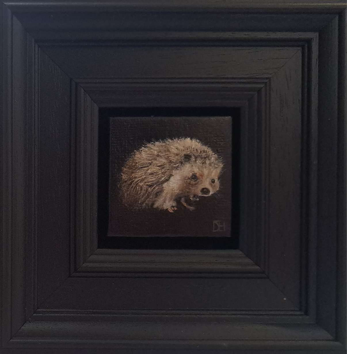 Wildlife Collection: Pocket Hedgehog by Dani Humberstone