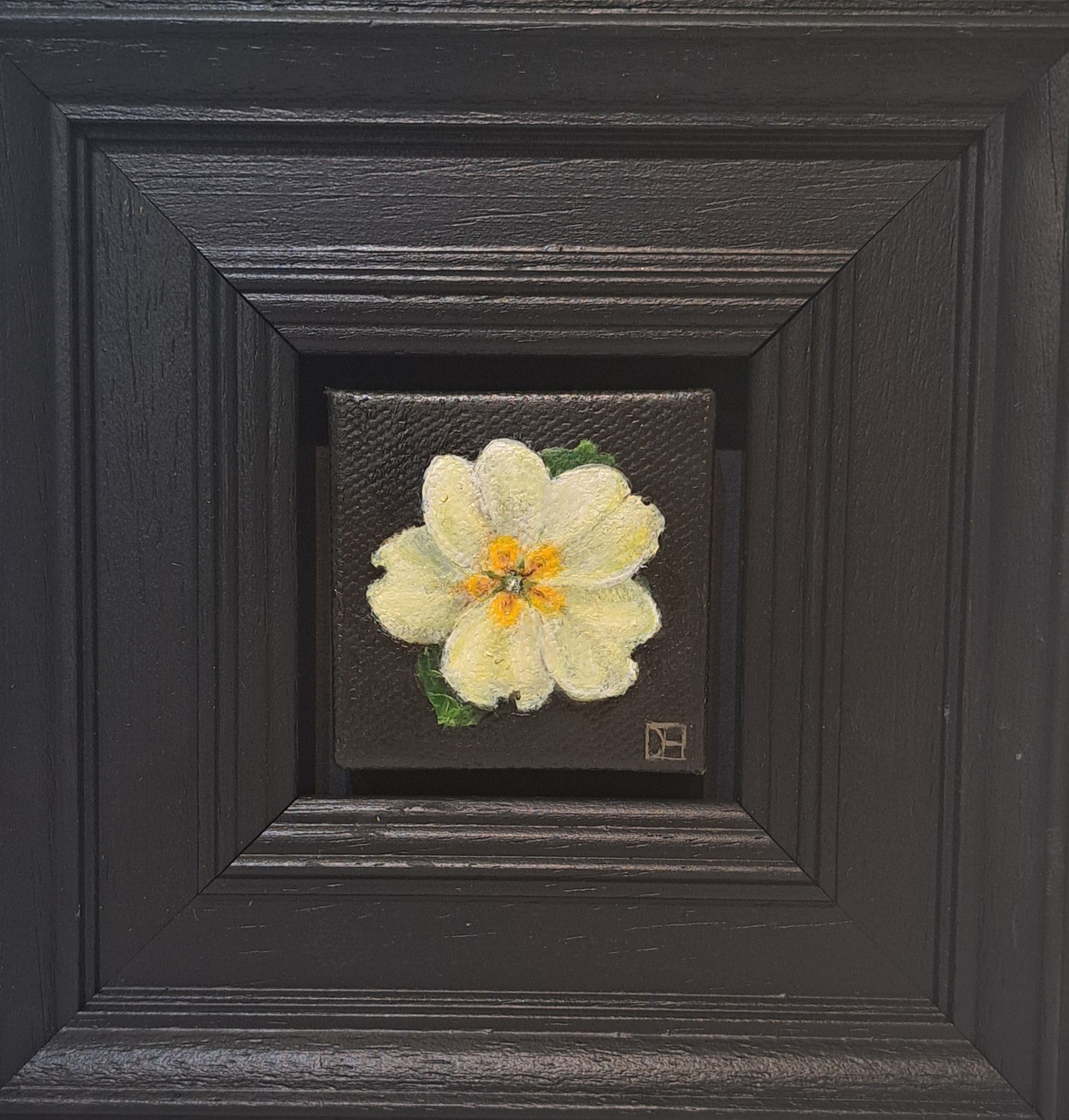 Spring Collection: Pocket Yellow Primrose by Dani Humberstone