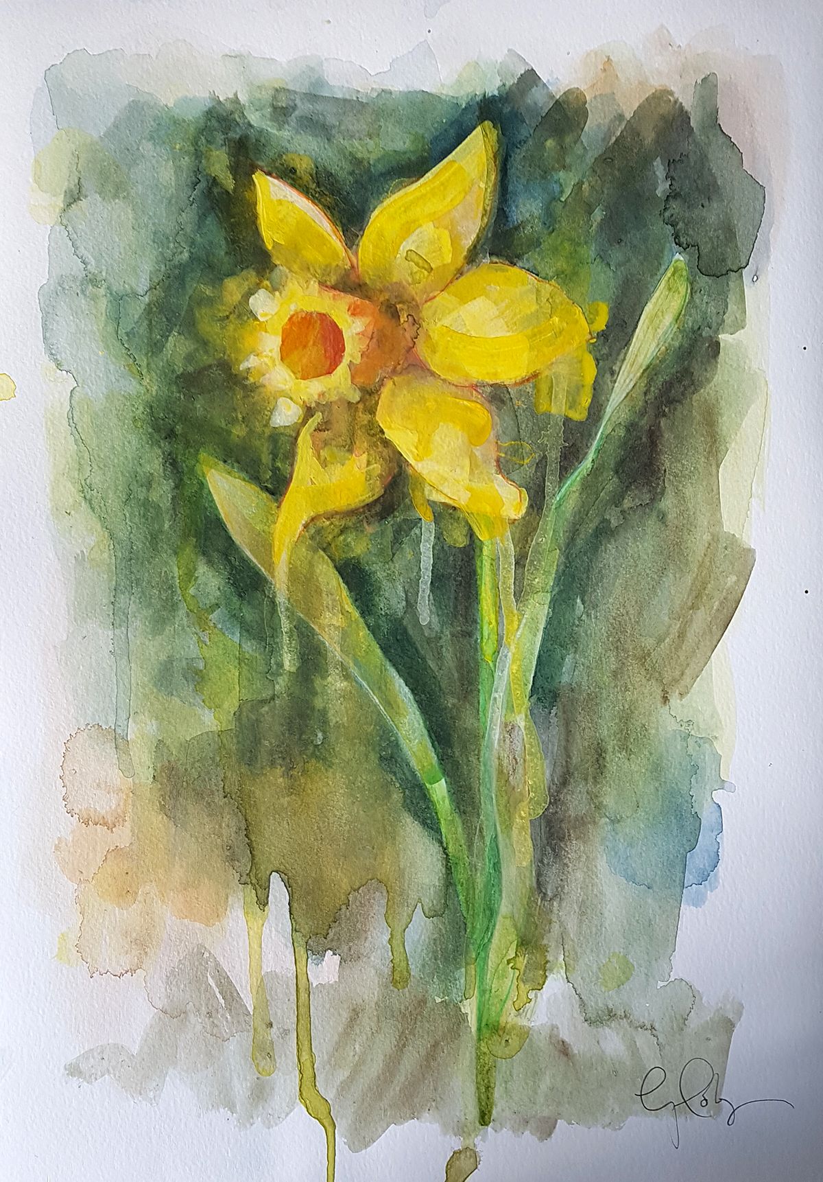 Daffodil by Gavin Dobson