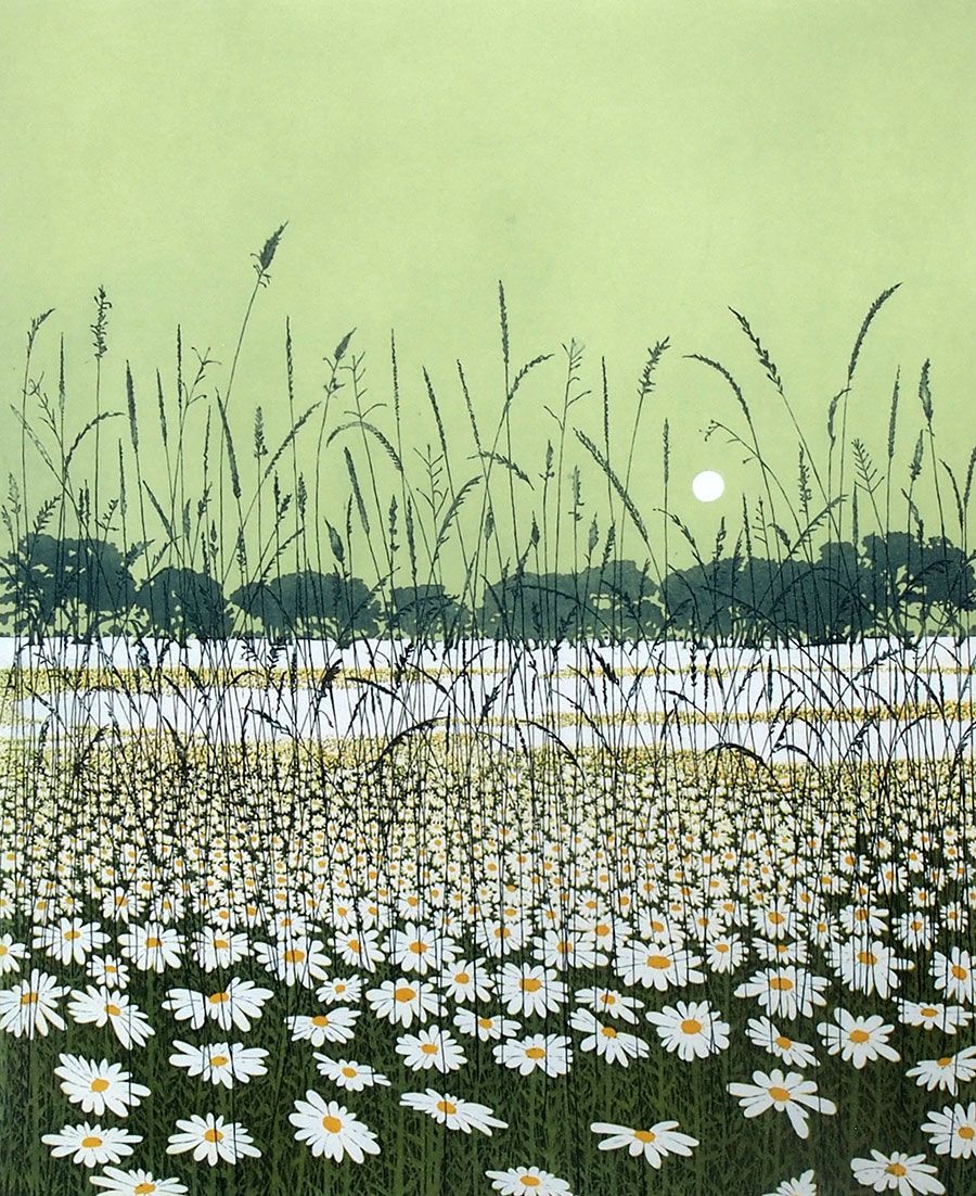 Daisy Moon by Phil Greenwood