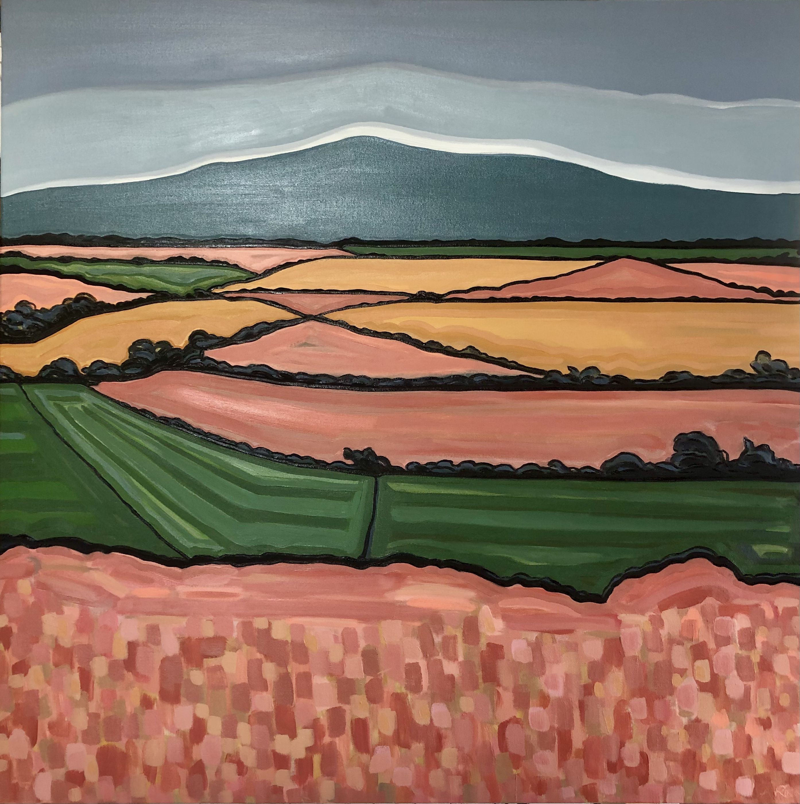 Devon Hills. No 1 by Alexa Roscoe