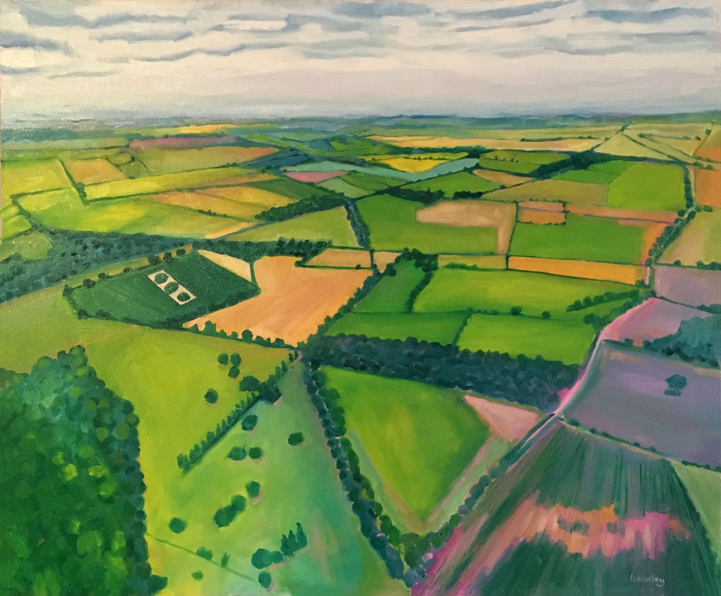 Aerial view of Cotswolds by Eleanor Woolley