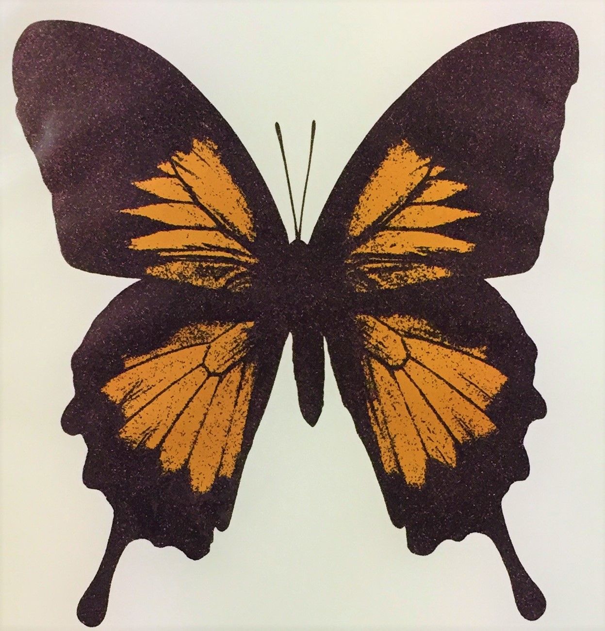 Papilio Ulysses - Deep Gold by Claire Robinson