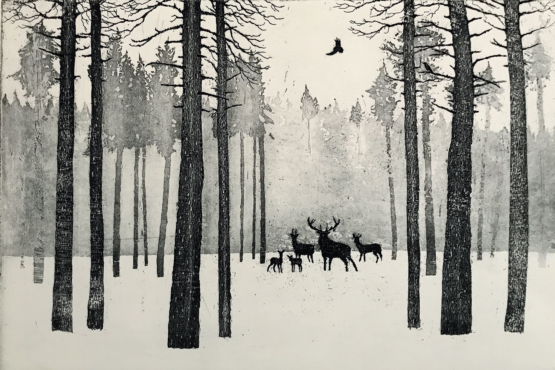Deer in Winter by Tim Southall