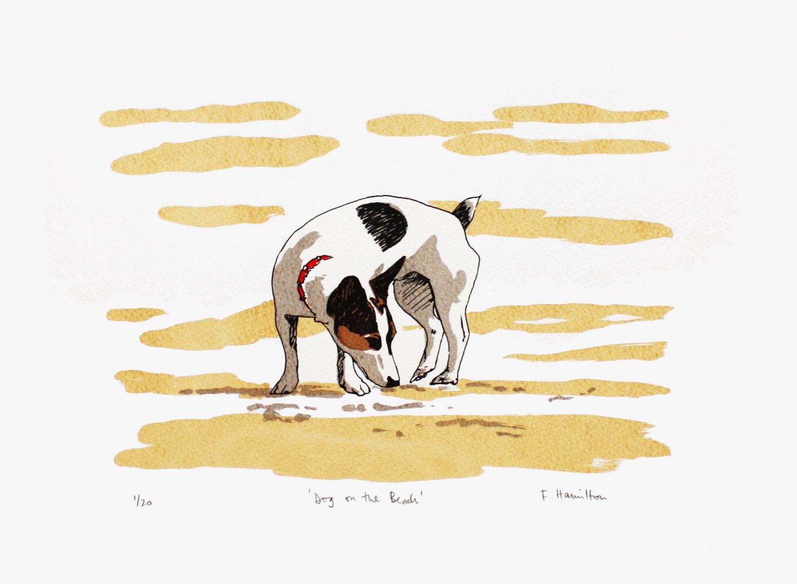 Dog on the Beach by Fiona Hamilton