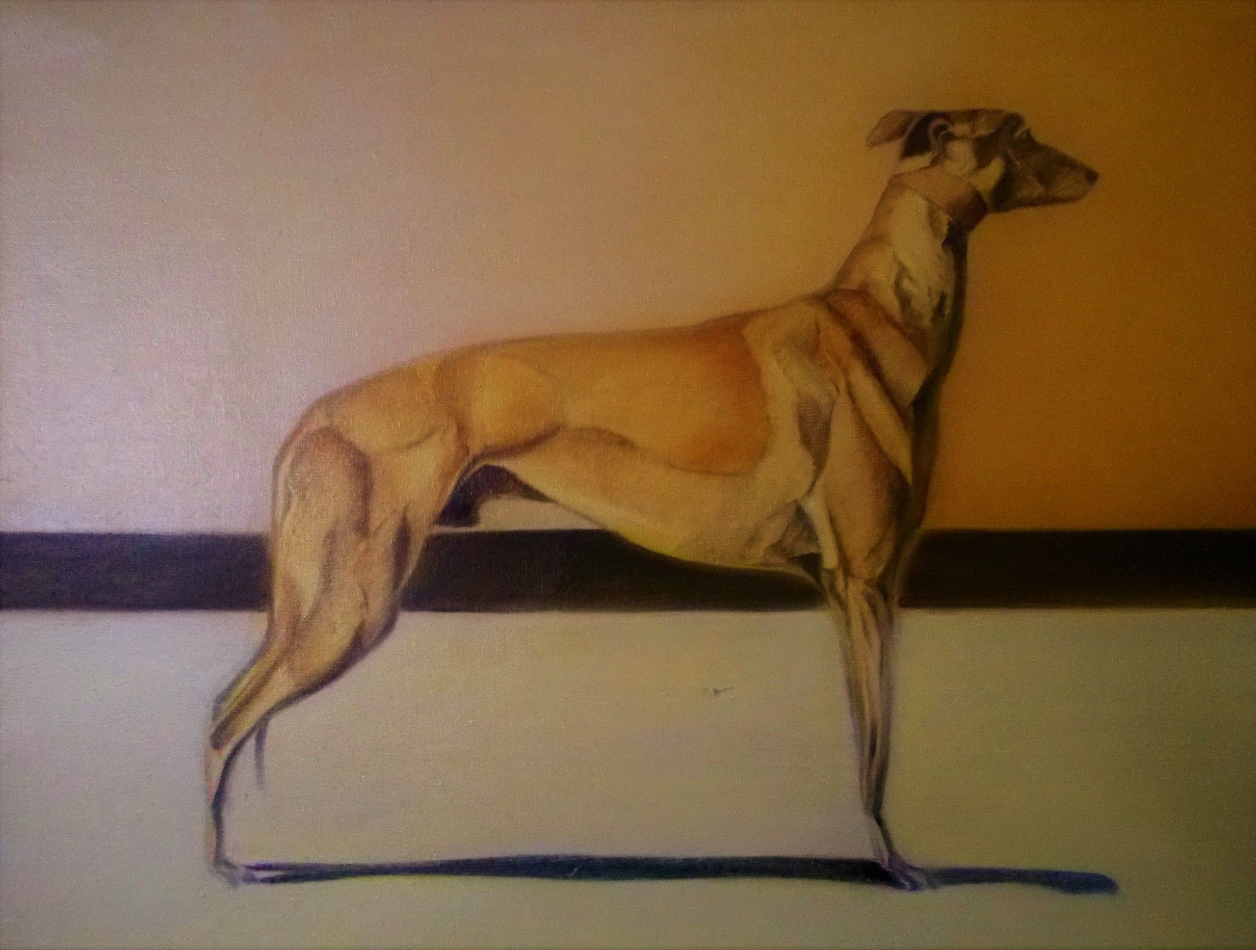 Greyhound interior by Gerard Tunney