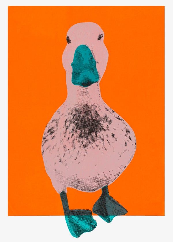 Duck A L’Orange by Charlotte Gerrard