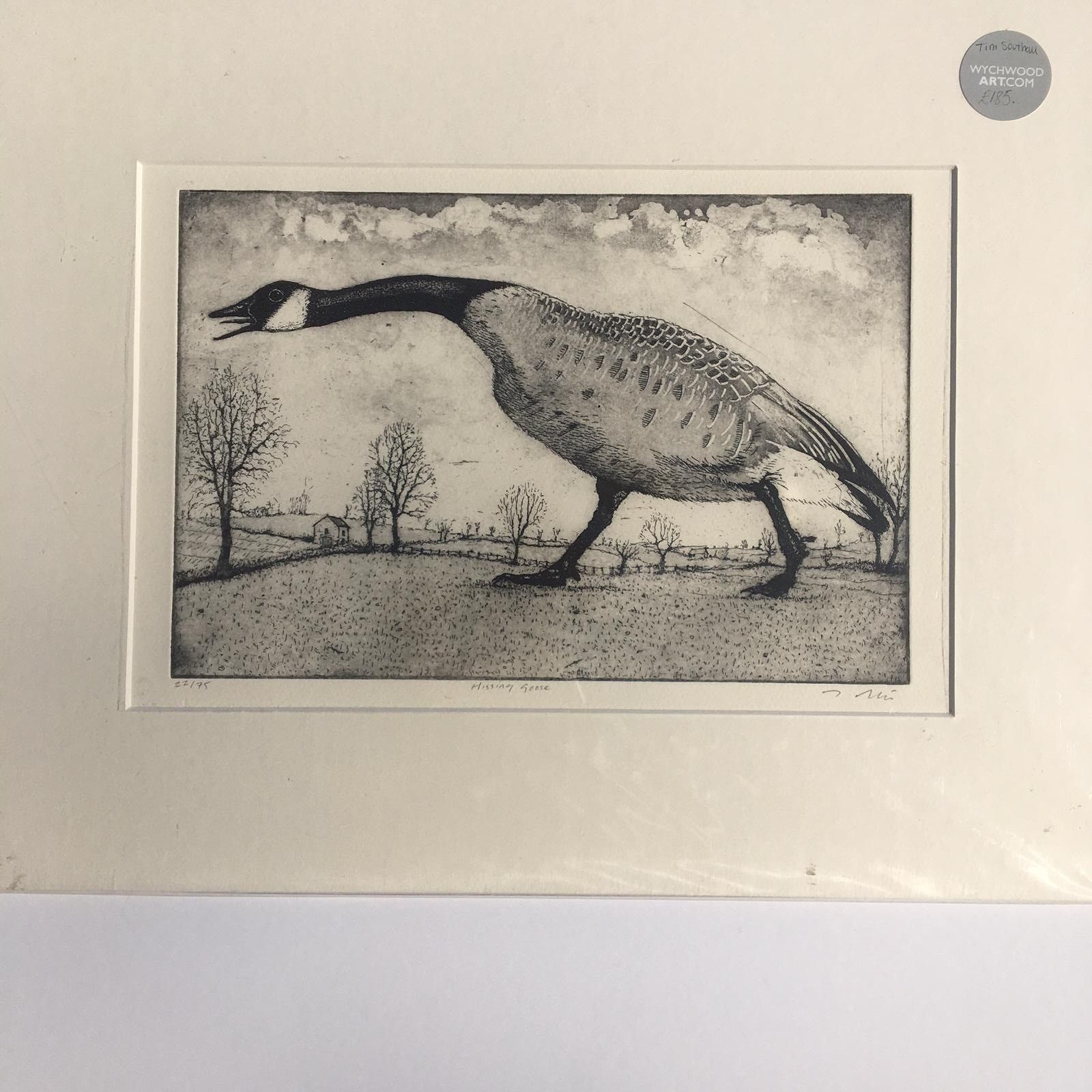 Hissing Goose by Tim Southall - Secondary Image