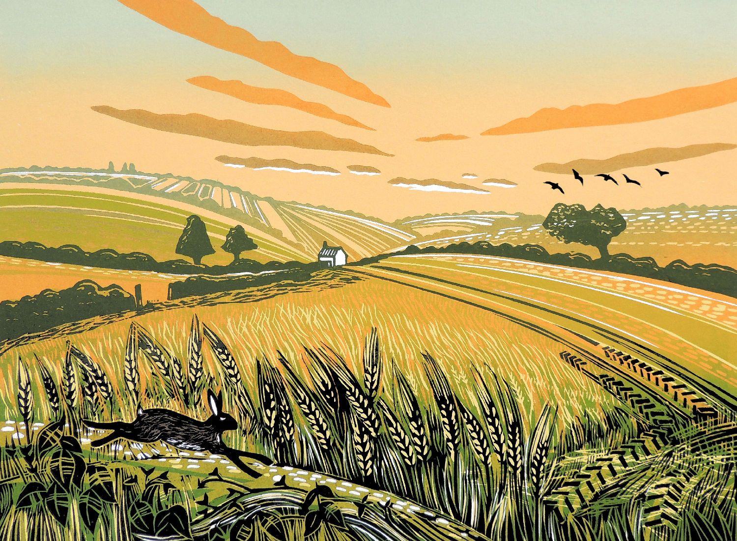 Running Through The Barley by Rob Barnes
