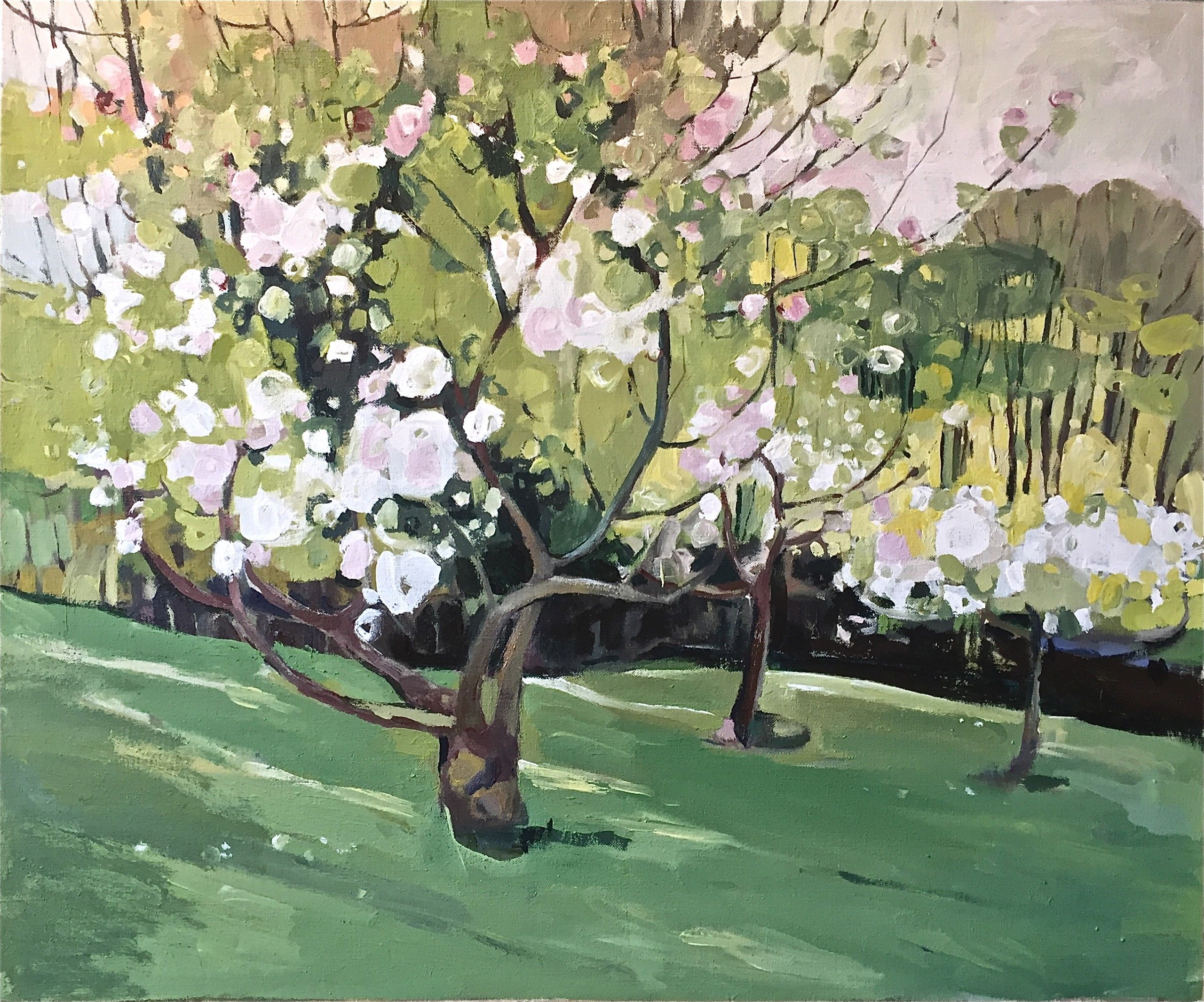 Apple Blossom by the Dell by Elaine Kazimierczuk