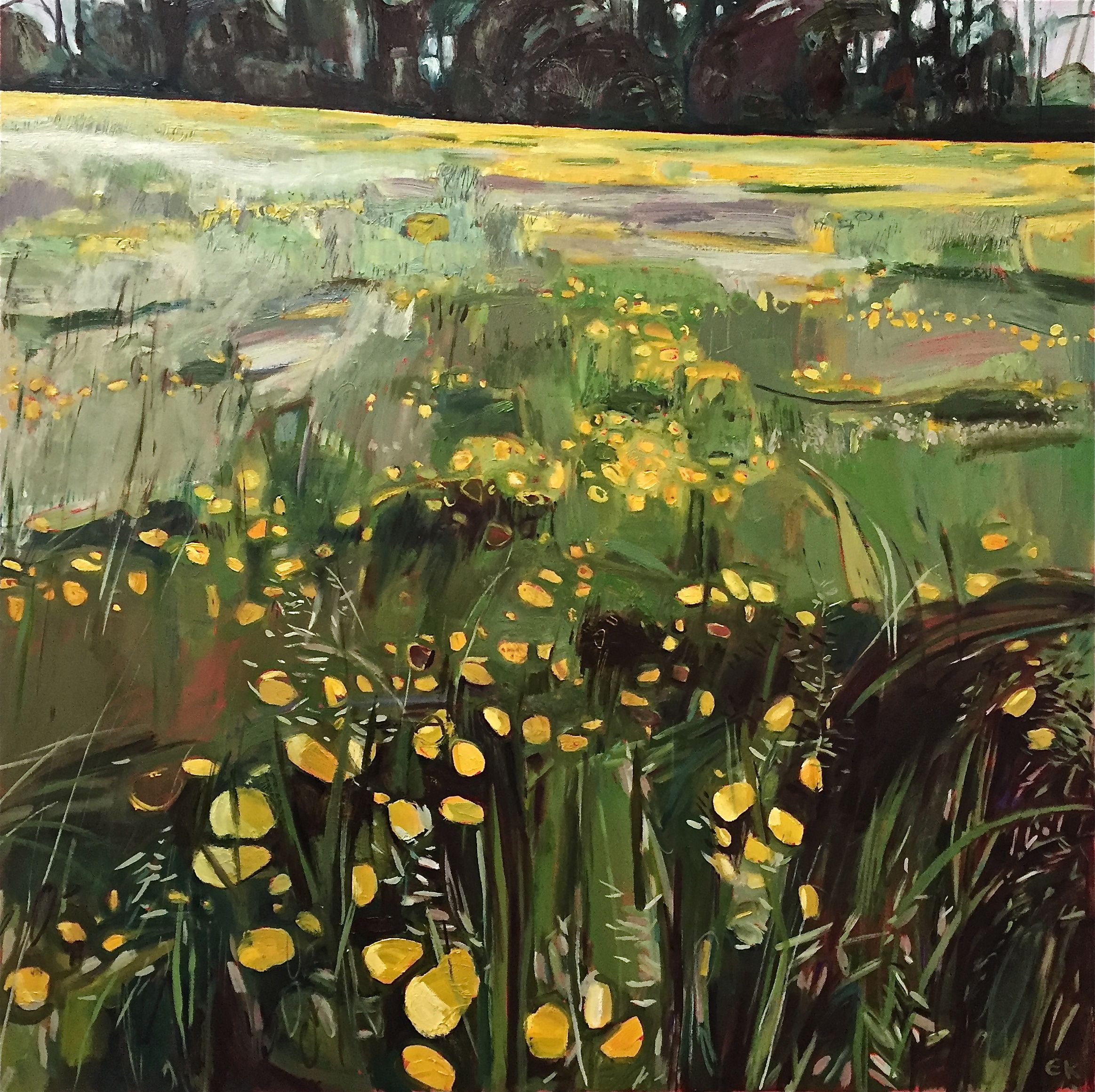 Buttercup Meadow along Binsey Lane, Oxford by Elaine Kazimierczuk