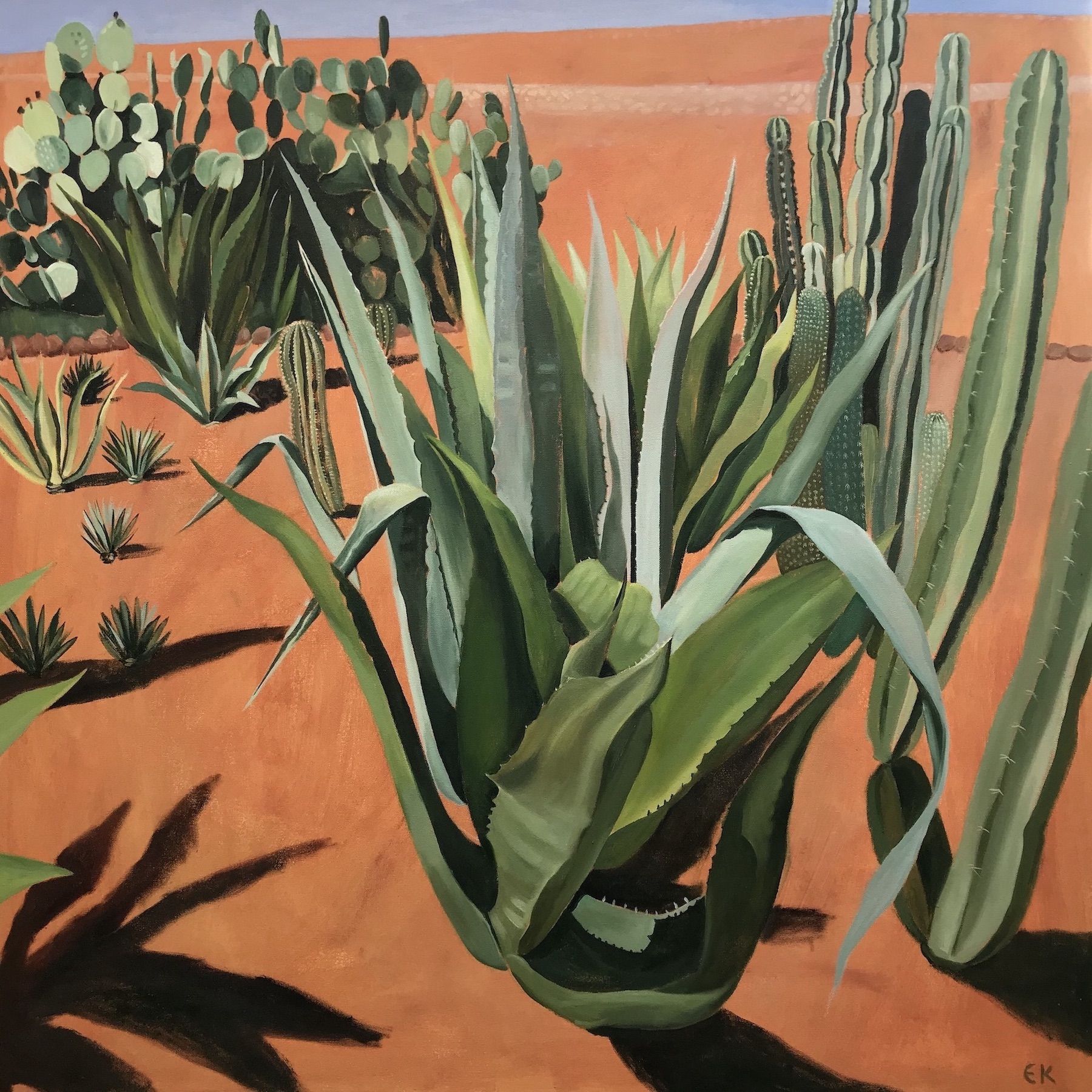 Cacti with Shadows by Elaine Kazimierczuk