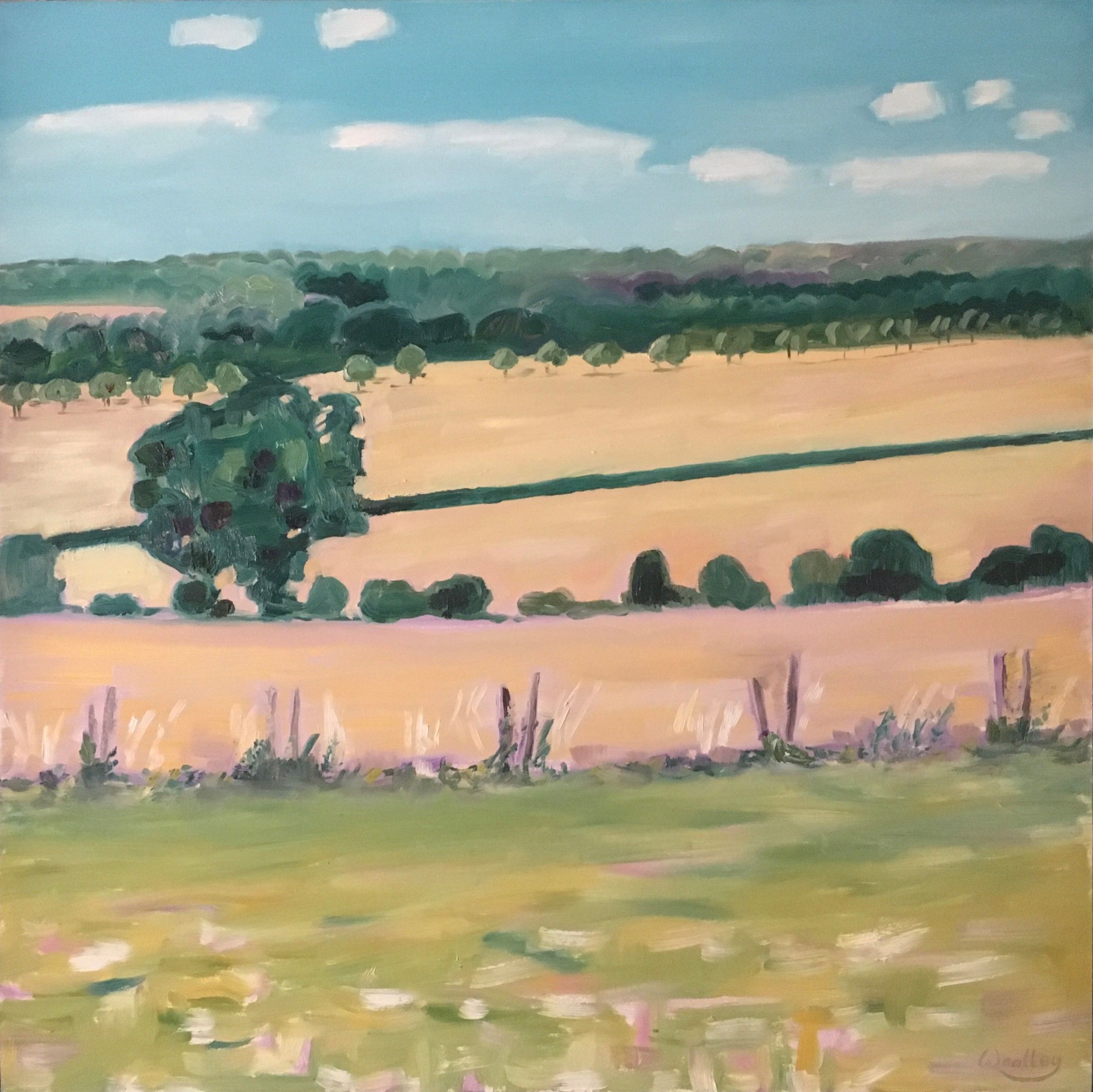 Across the fields from Aynho by Eleanor Woolley