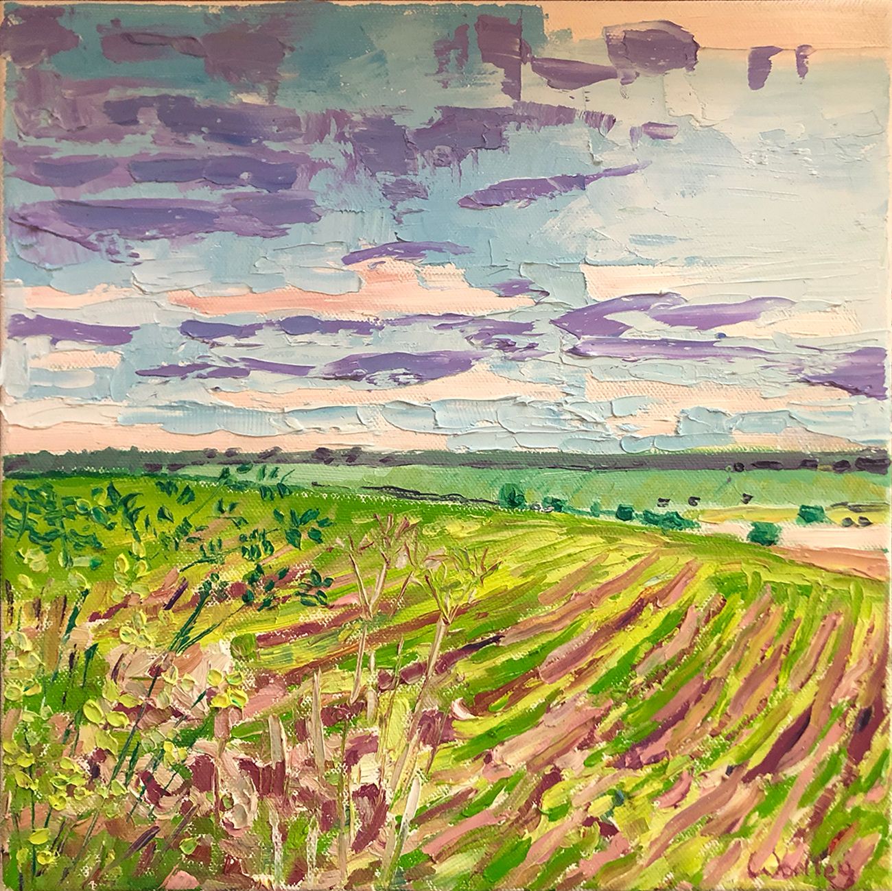 Deddington fields by Eleanor Woolley
