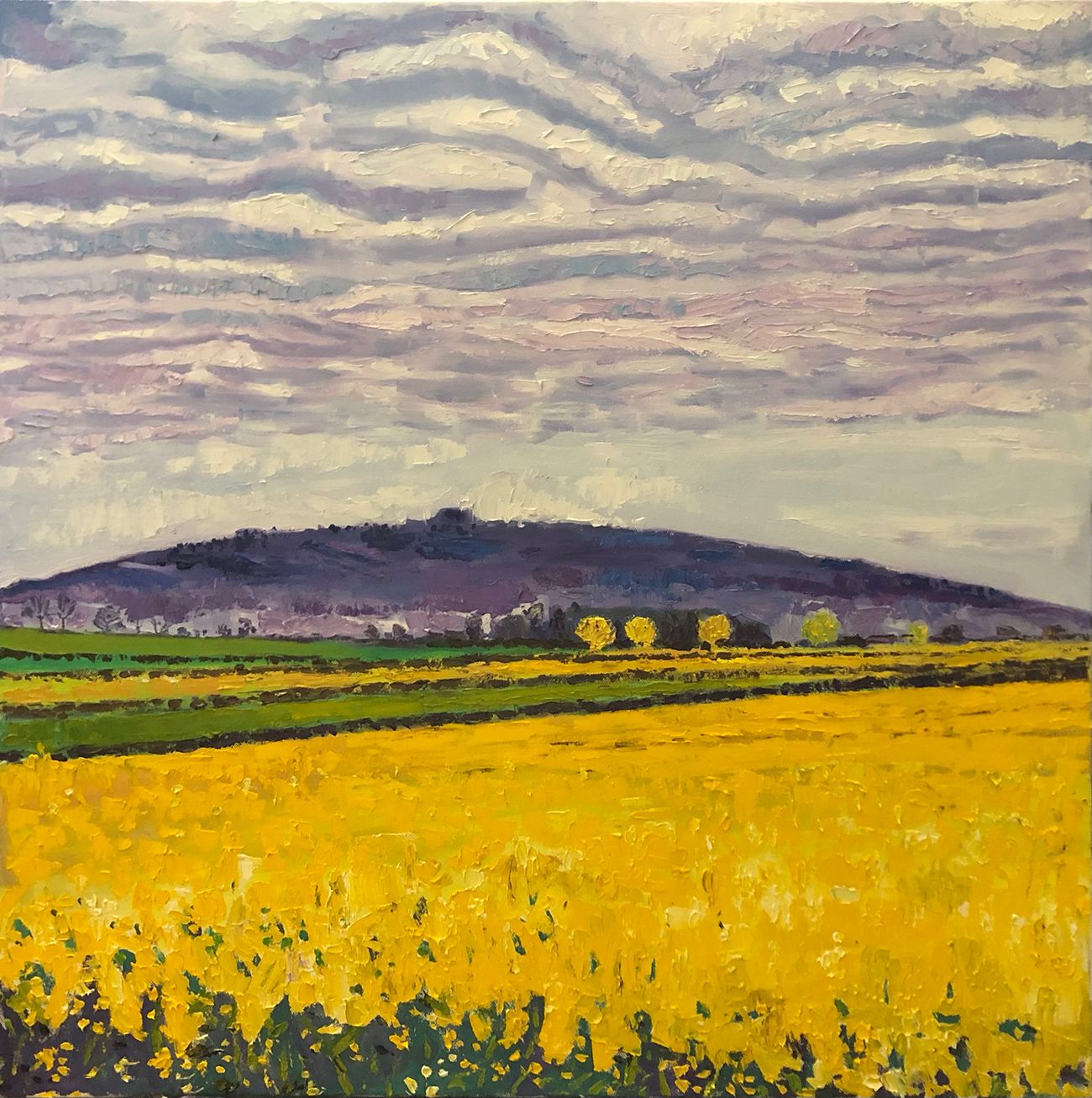 May Hill with yellow fields by Eleanor Woolley