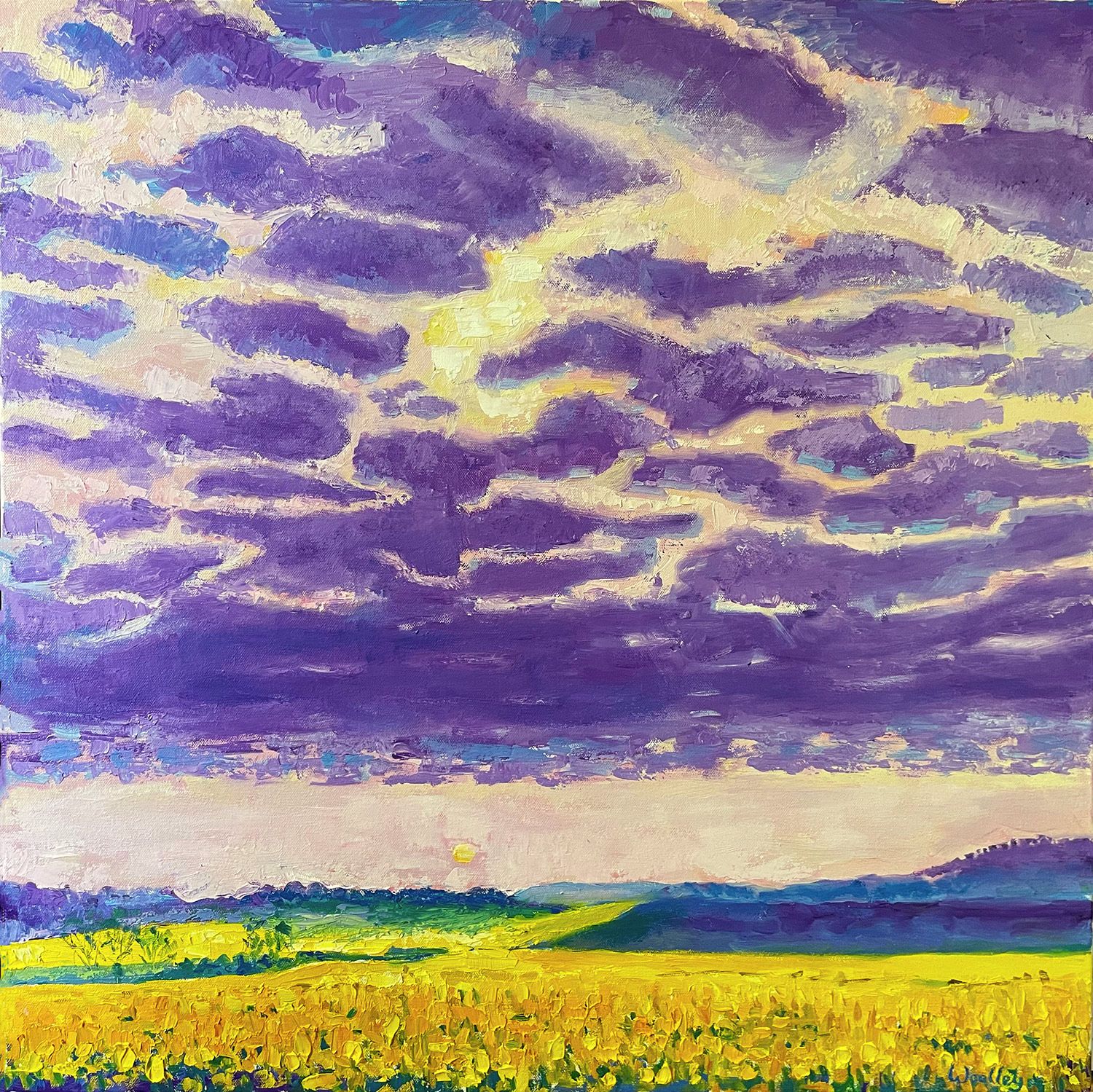 Sunset over yellow fields by Eleanor Woolley