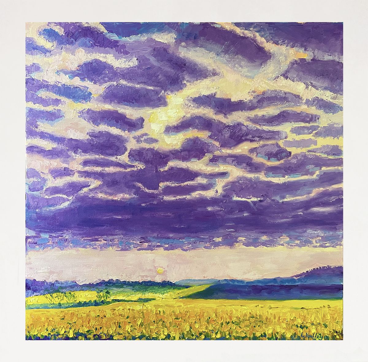 Sunset over yellow fields by Eleanor Woolley - Secondary Image