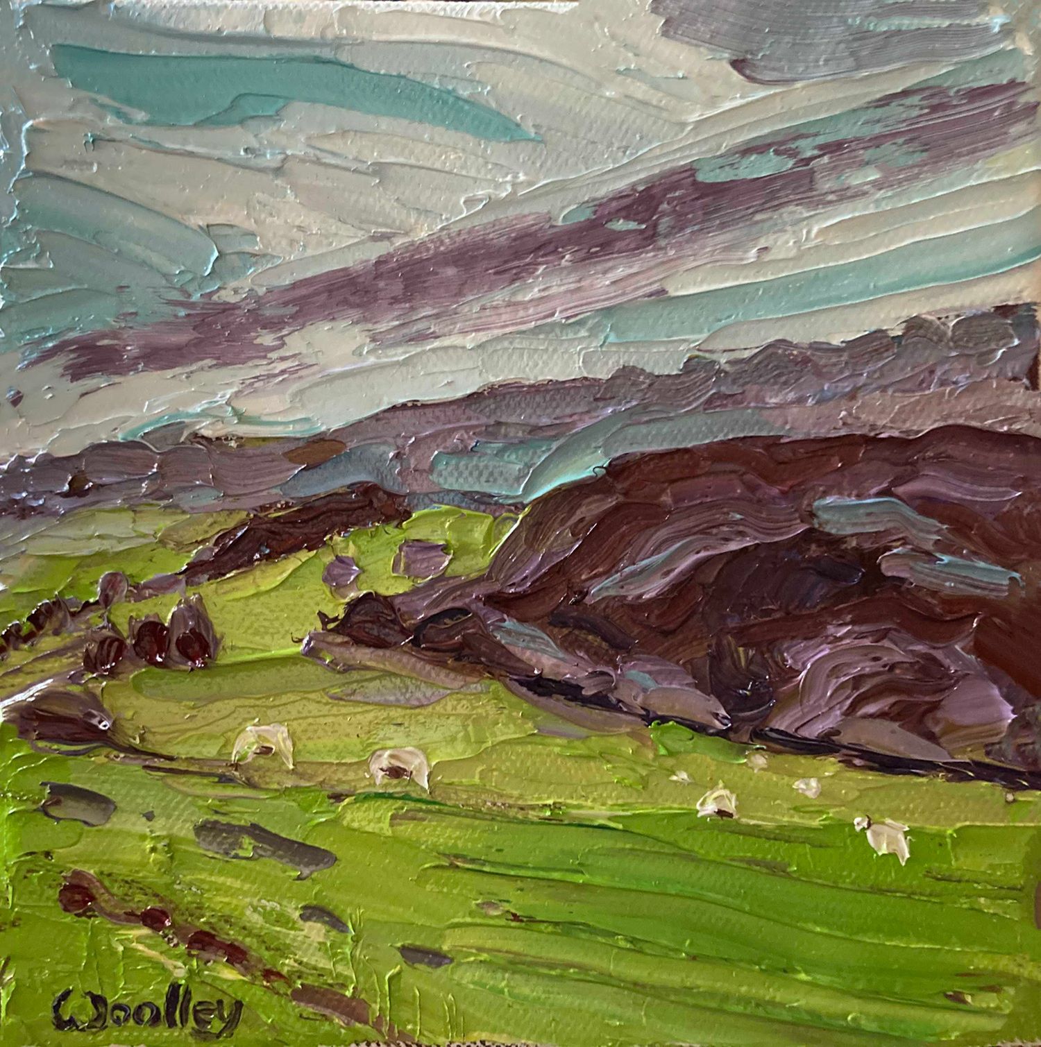 Wye Valley Sheep by Eleanor Woolley