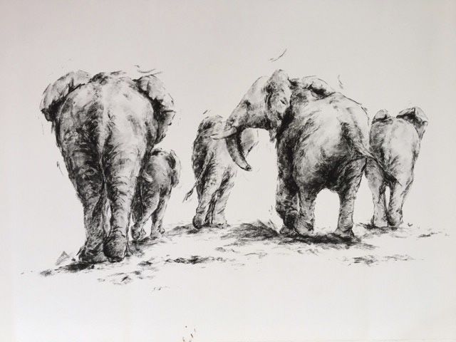 Elephant Brigade by Annabel Pope