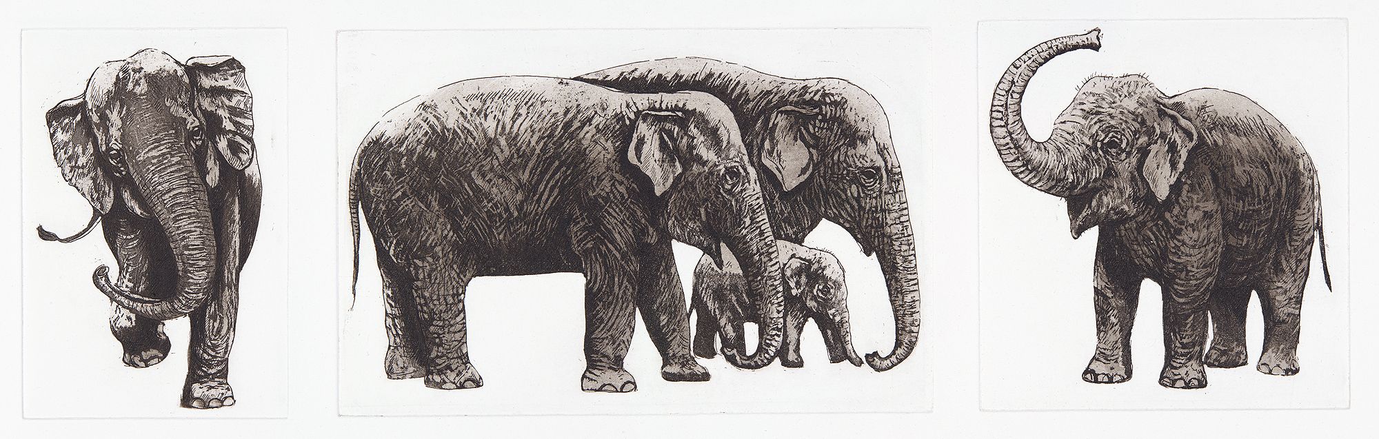Elephant Parade by Jane Peart