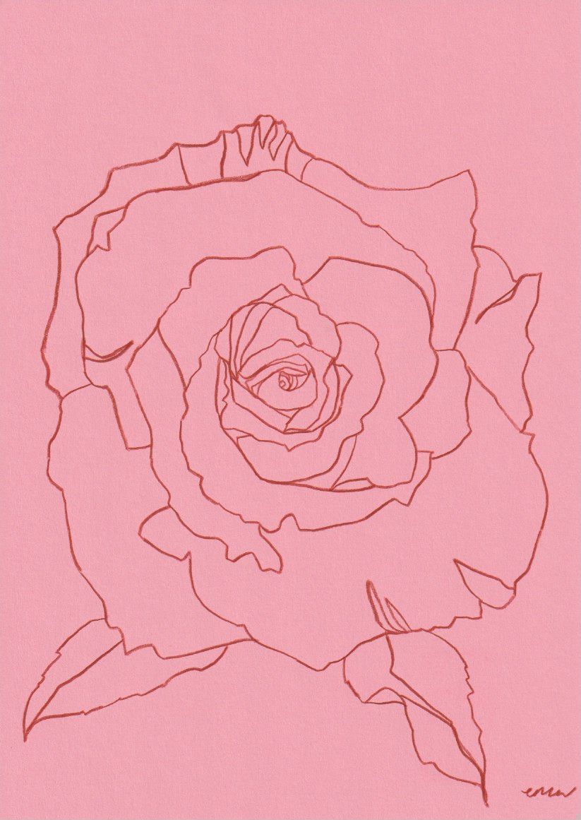 Rose IX by Ellen Williams
