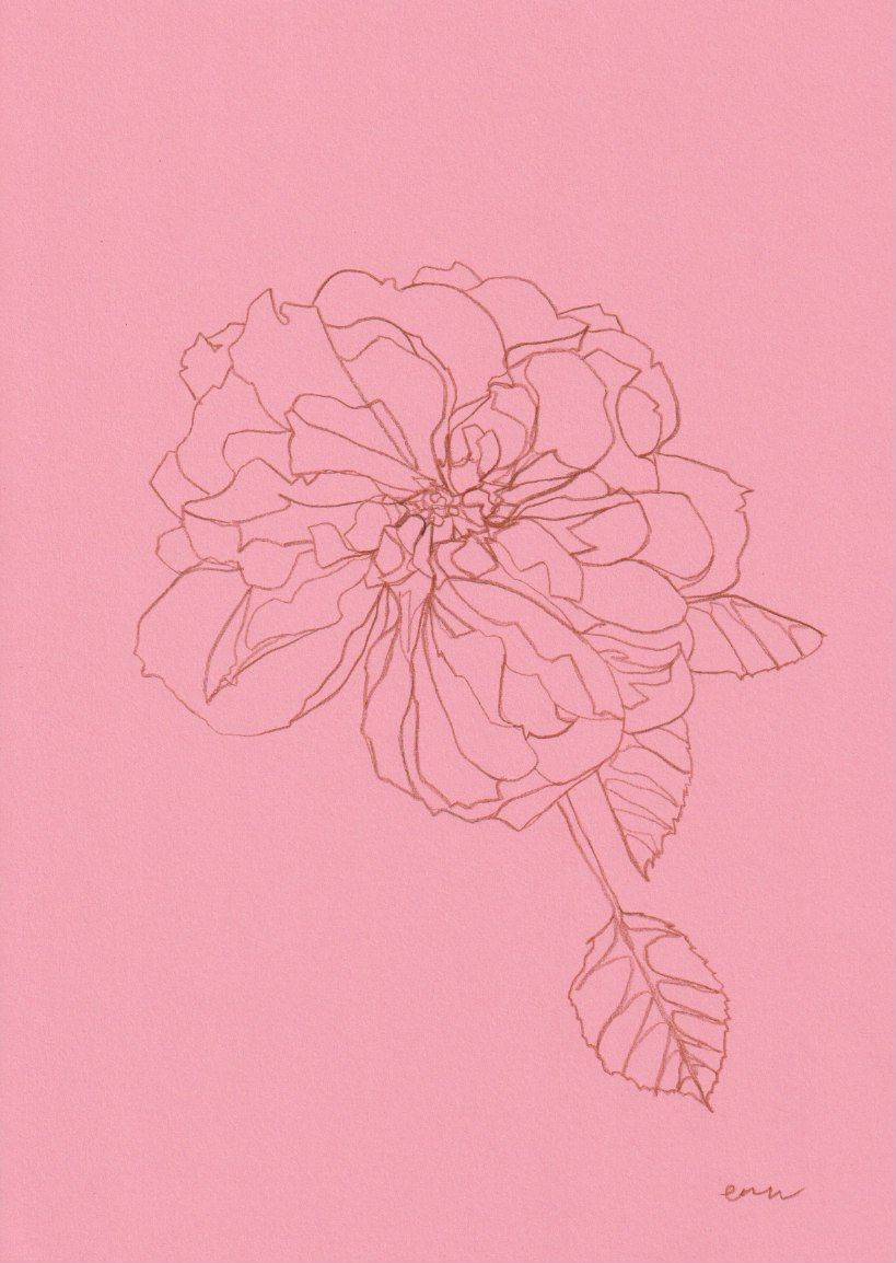 Rose VII by Ellen Williams